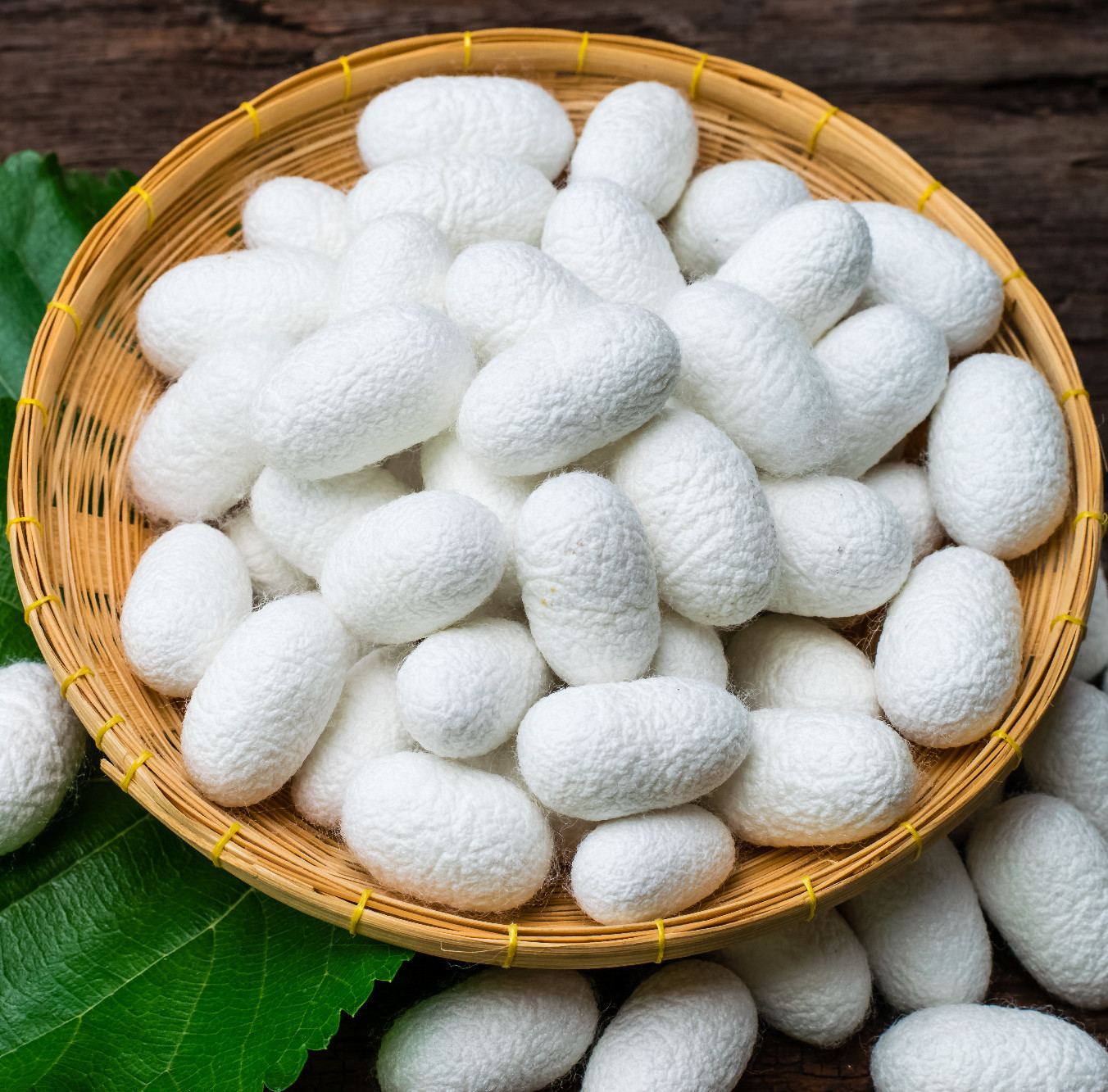 Lehet, hogy a selyemfehérje fogja megfékezni az élelmiszerpazarlást?