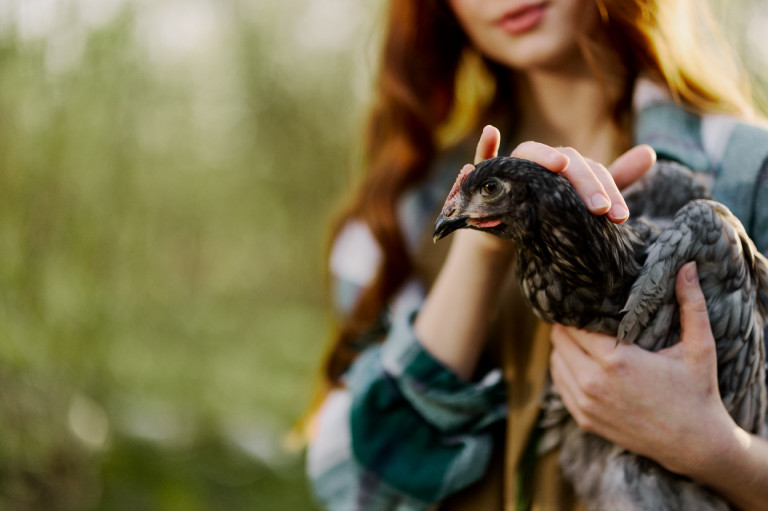 5 dolog, amiben a vegánok és az állattartók egyetértenek