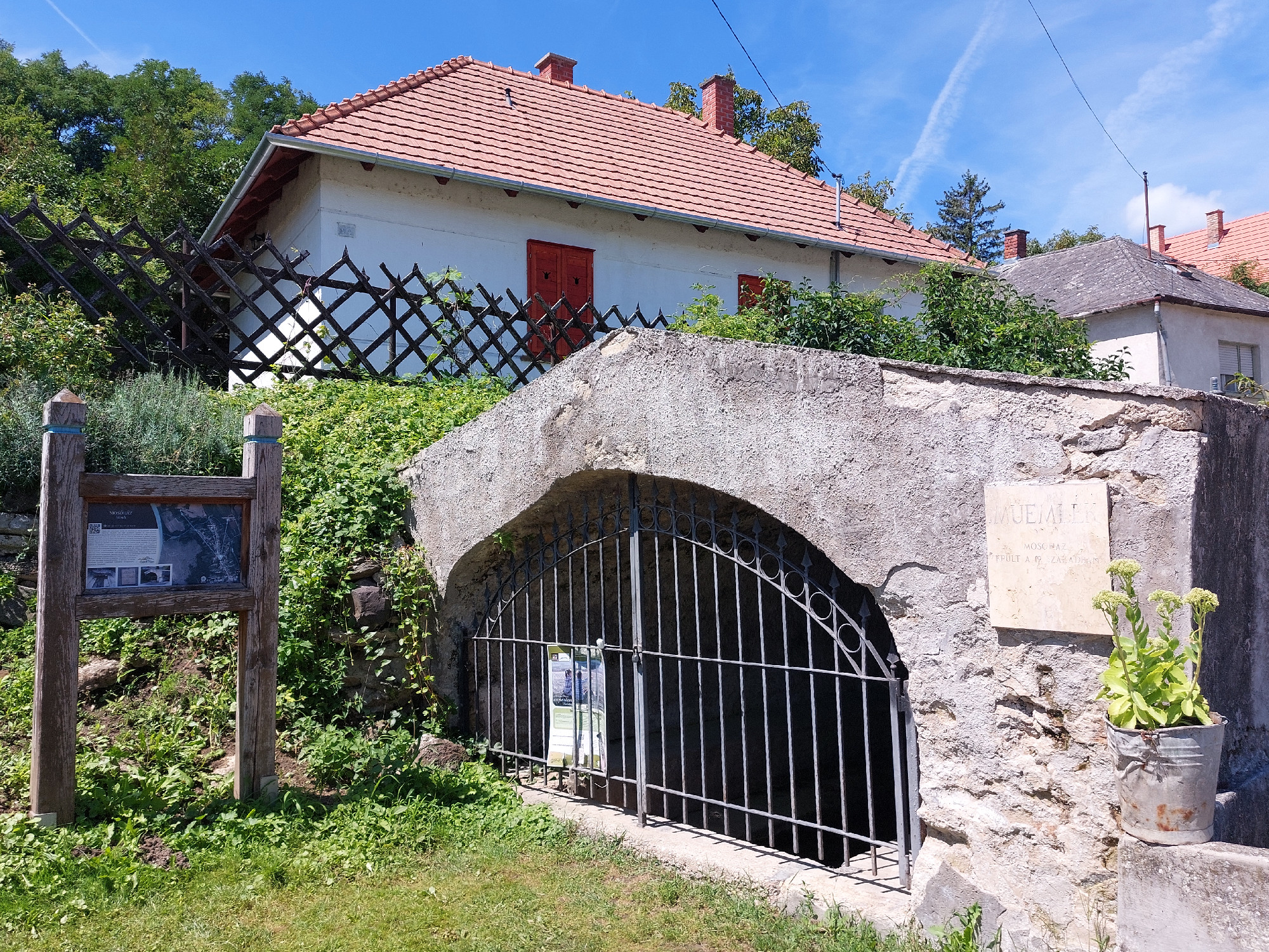 tunderek-boszorkanyok-balaton-felvidek-kali-medence-vadlanyok-banyafa