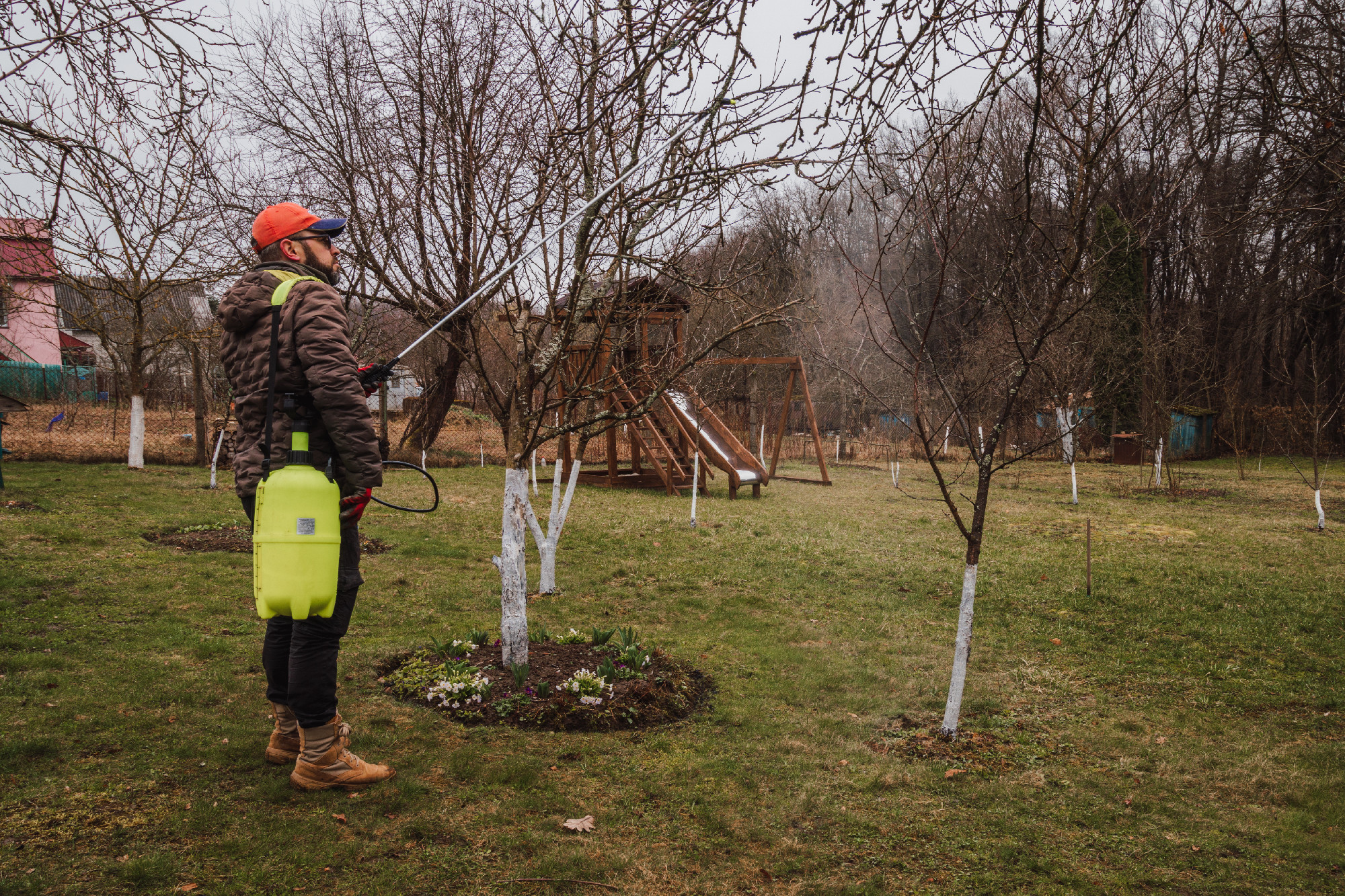 A man sprays fruit trees with against pests and diseases Early spring processing