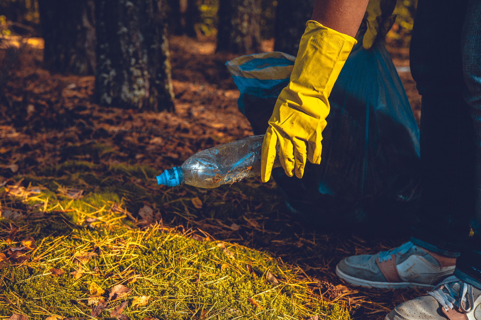 A plastic bottle lies on the moss in the sun. In the forest, a woman volunteer came up with a garbage bag to pick up plastic waste. Pollution of the forest with household waste and plastic garbage.