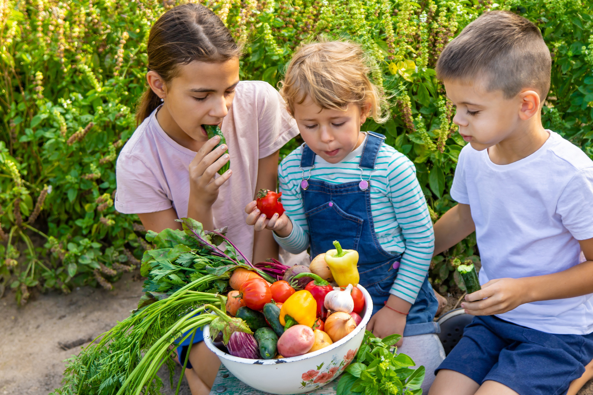 Children with a bowl of vegetables in the garden family harvest gathering