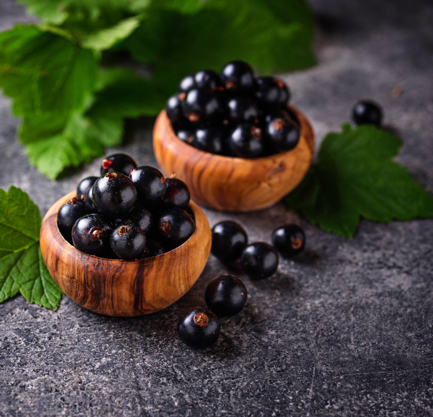 Milyen fajta tengeri szőlő terem a kertedben? 