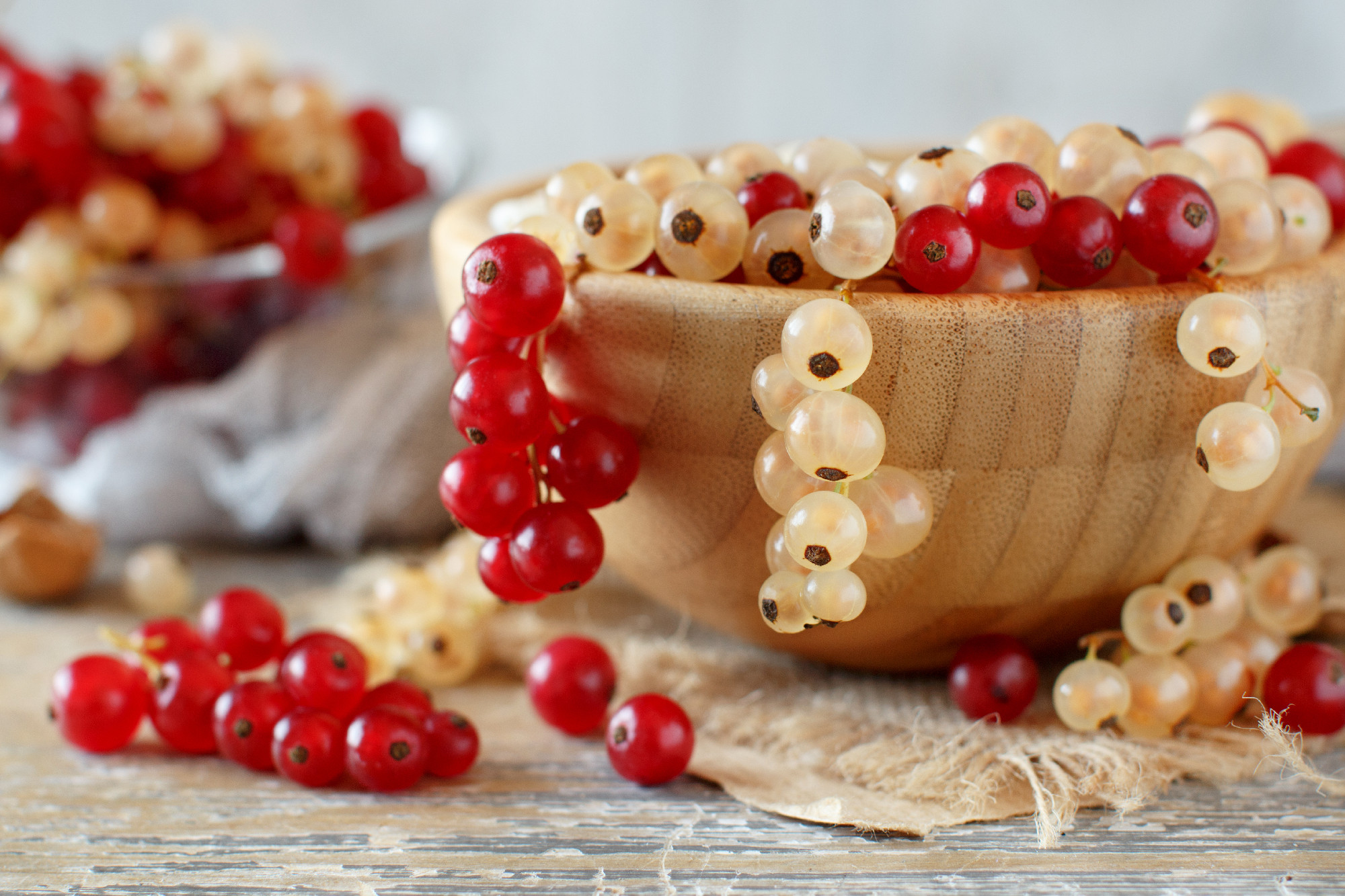 Ripe white and red currant berries