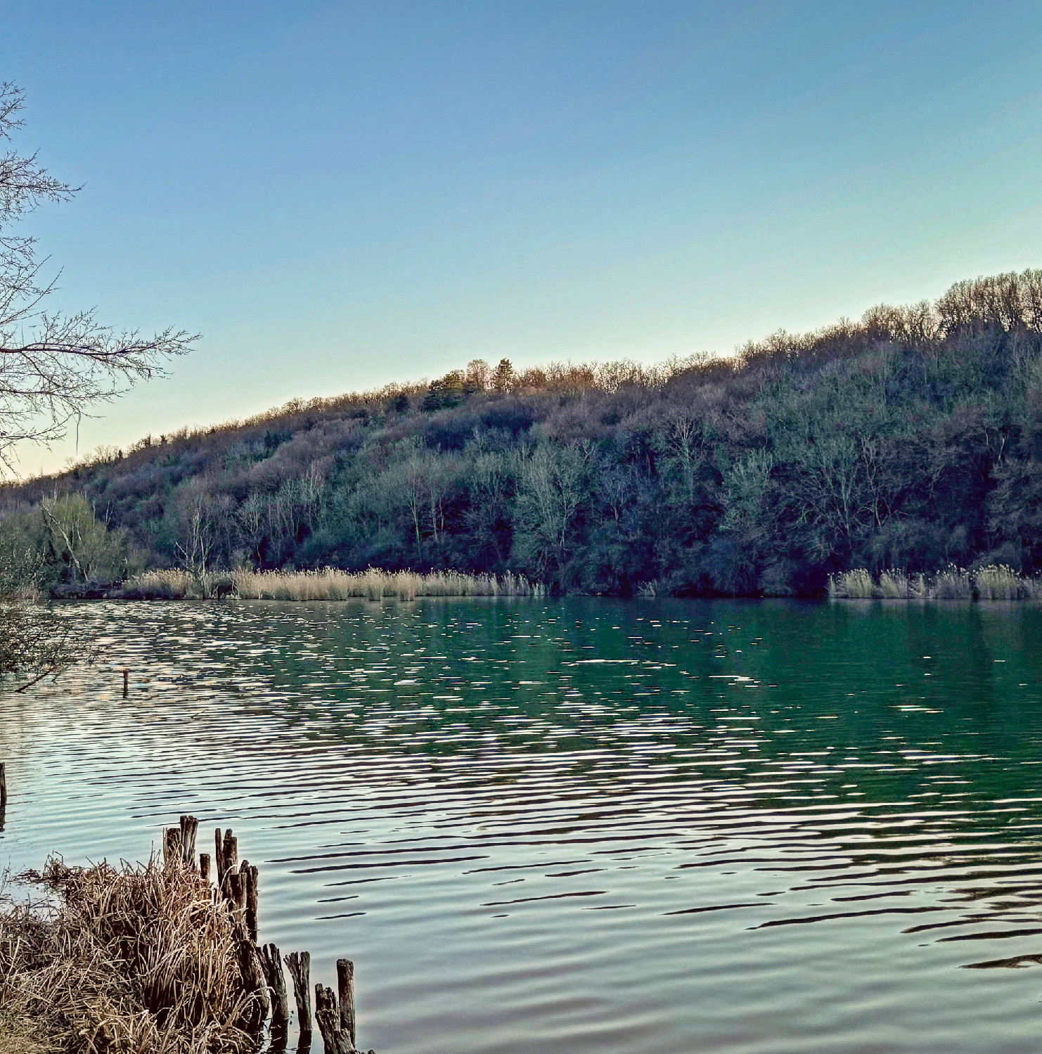Feltöltődés a Mecsekalján, a Malomvölgyi Parkerdőben