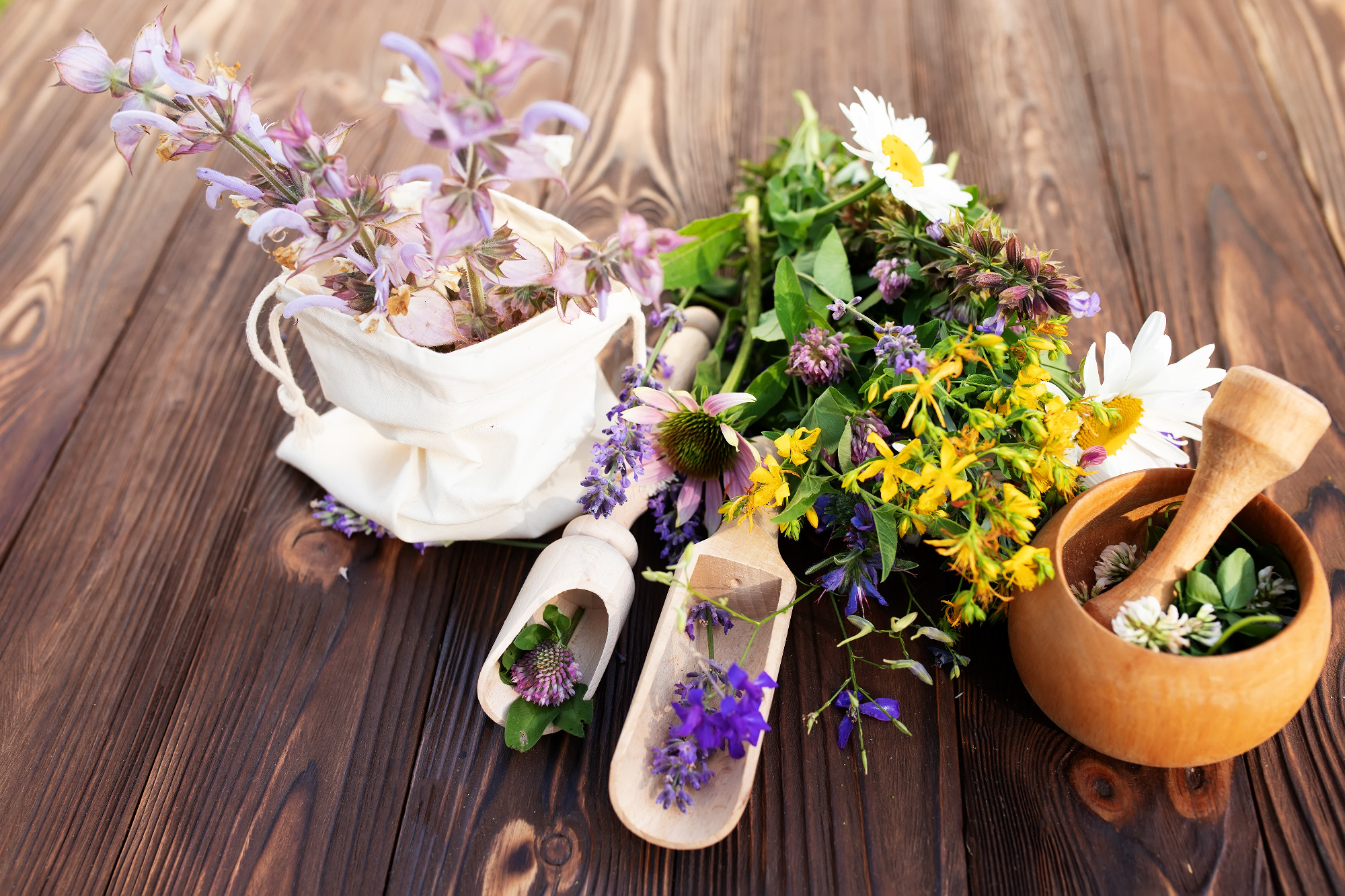 Assorted Wildflowers and Herbs on Wooden Tabletop