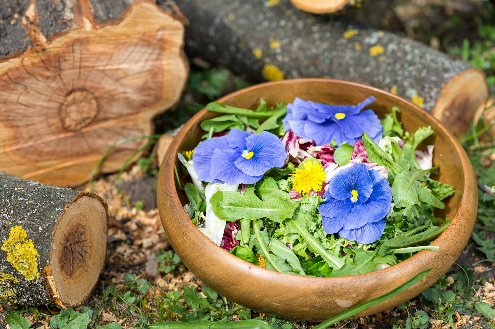 flower salad