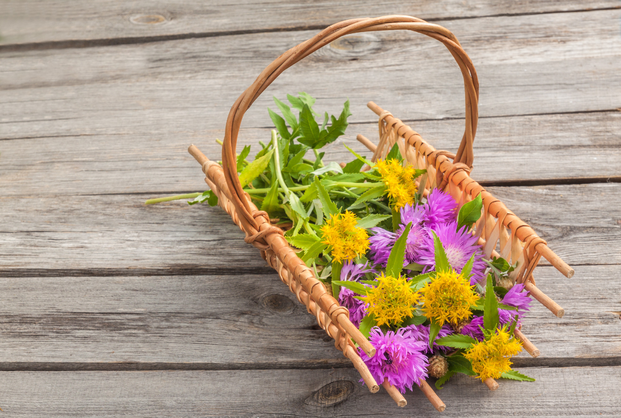 Sedum and cornflowers in a basket on a wooden background