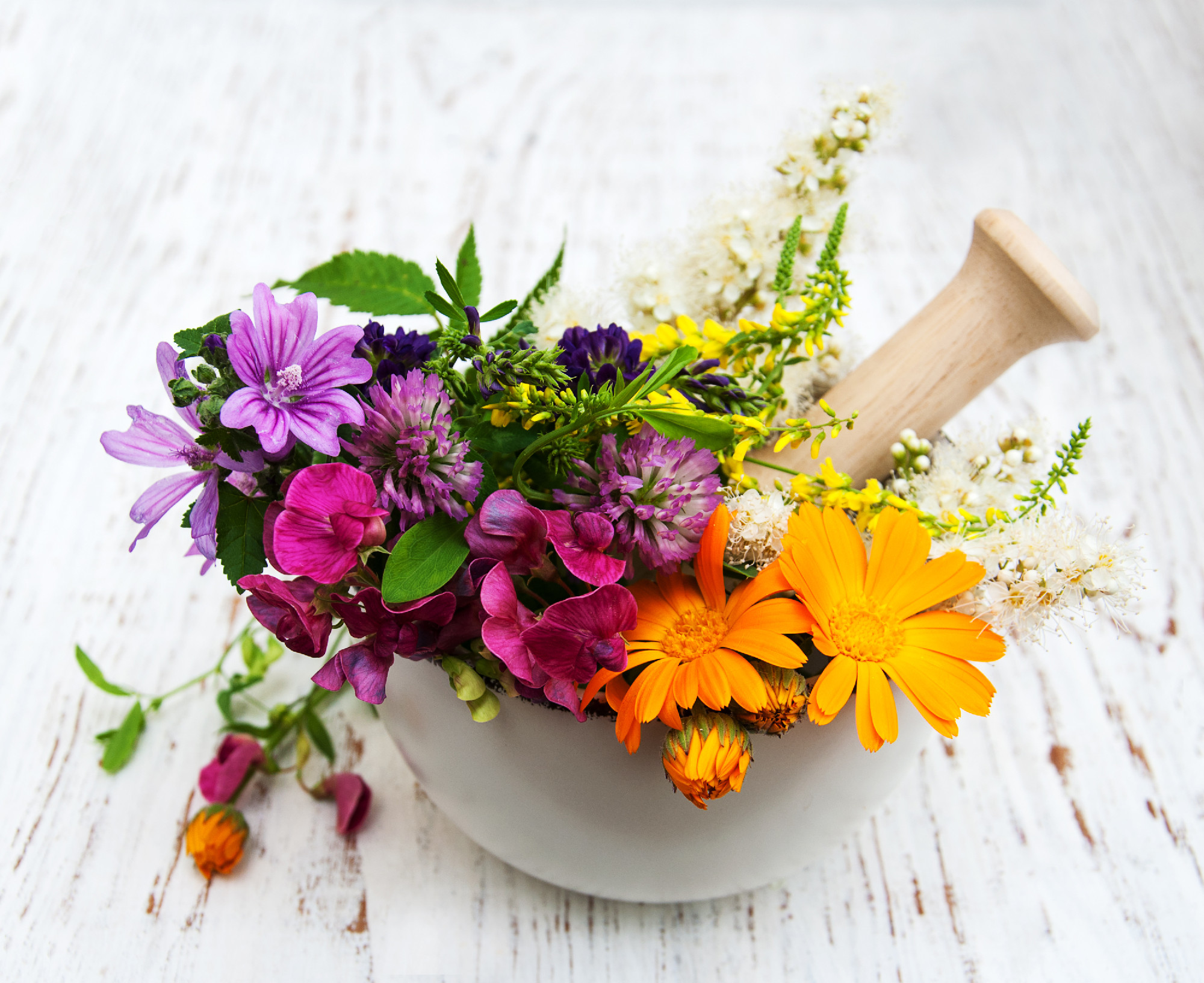 wild flower and herb leaf in mortar