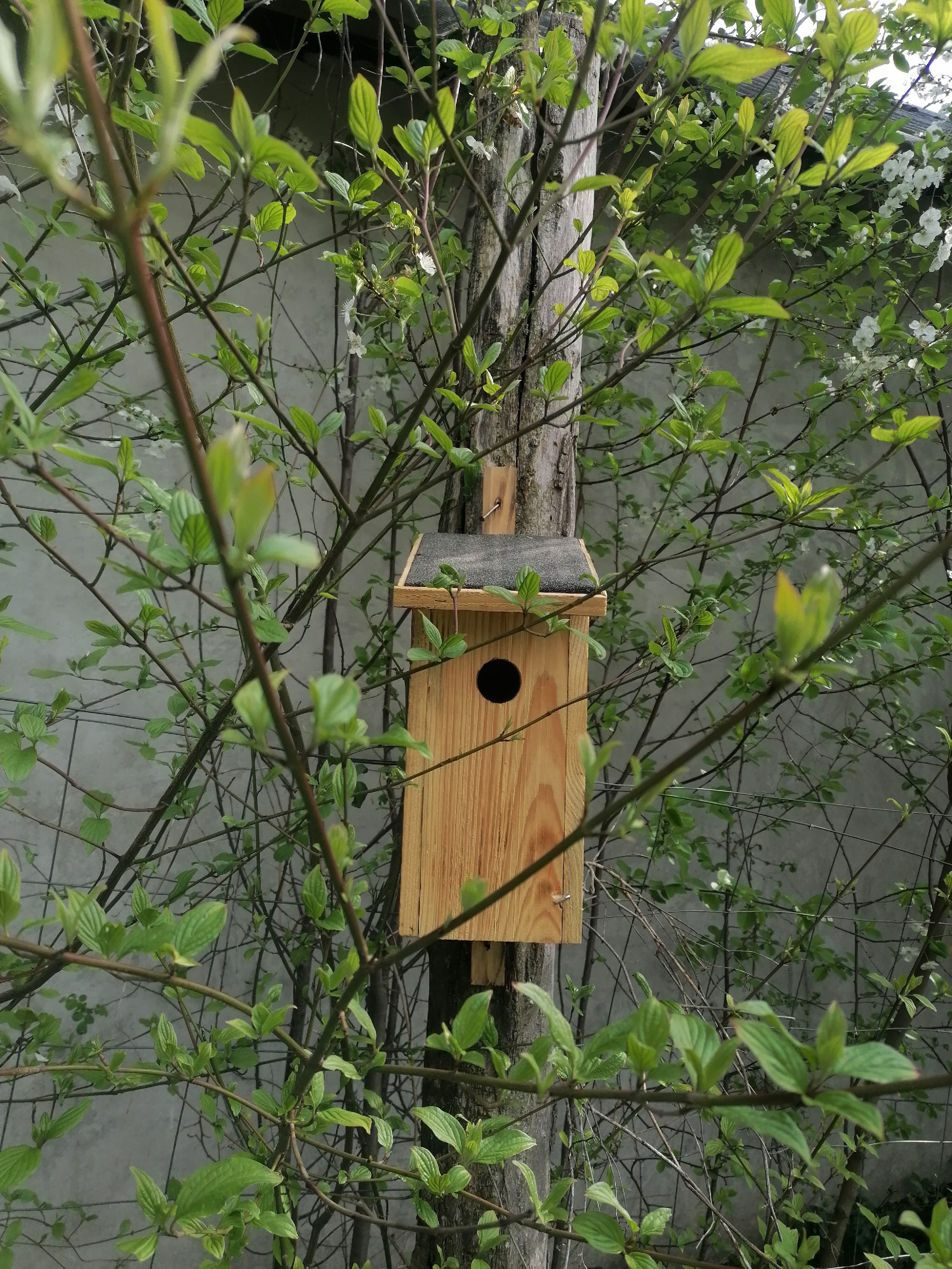 Madarakat és rovarokat minden kertbe!