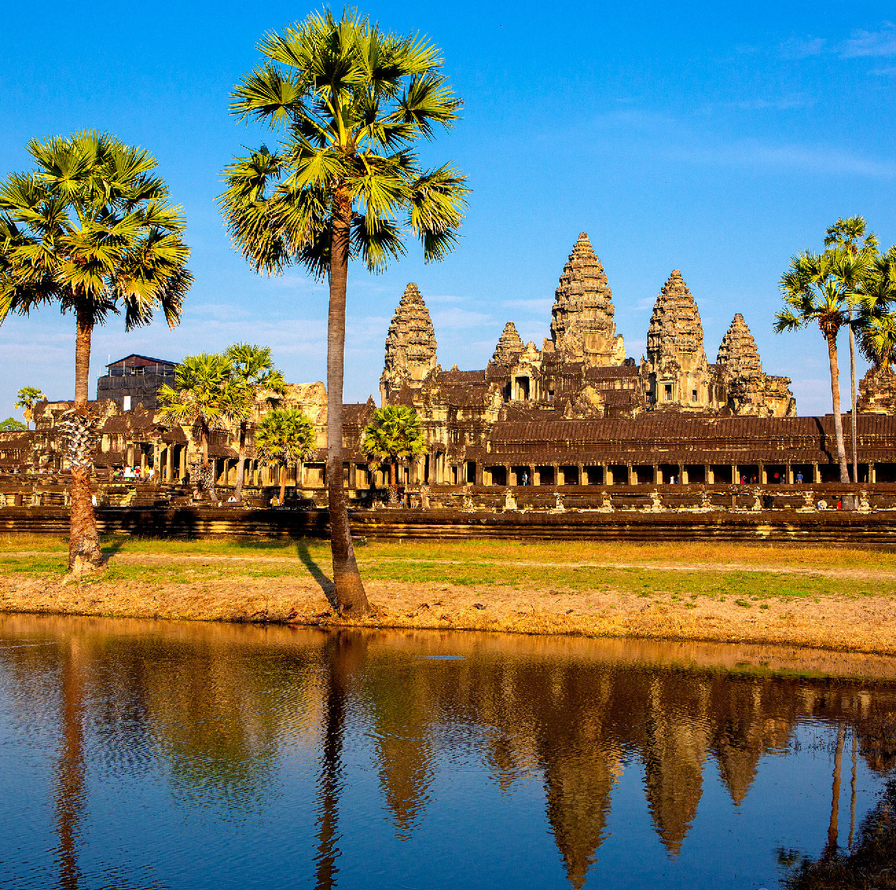 A világ legnagyobb templomában fa nő, az emberek szívében szeretet