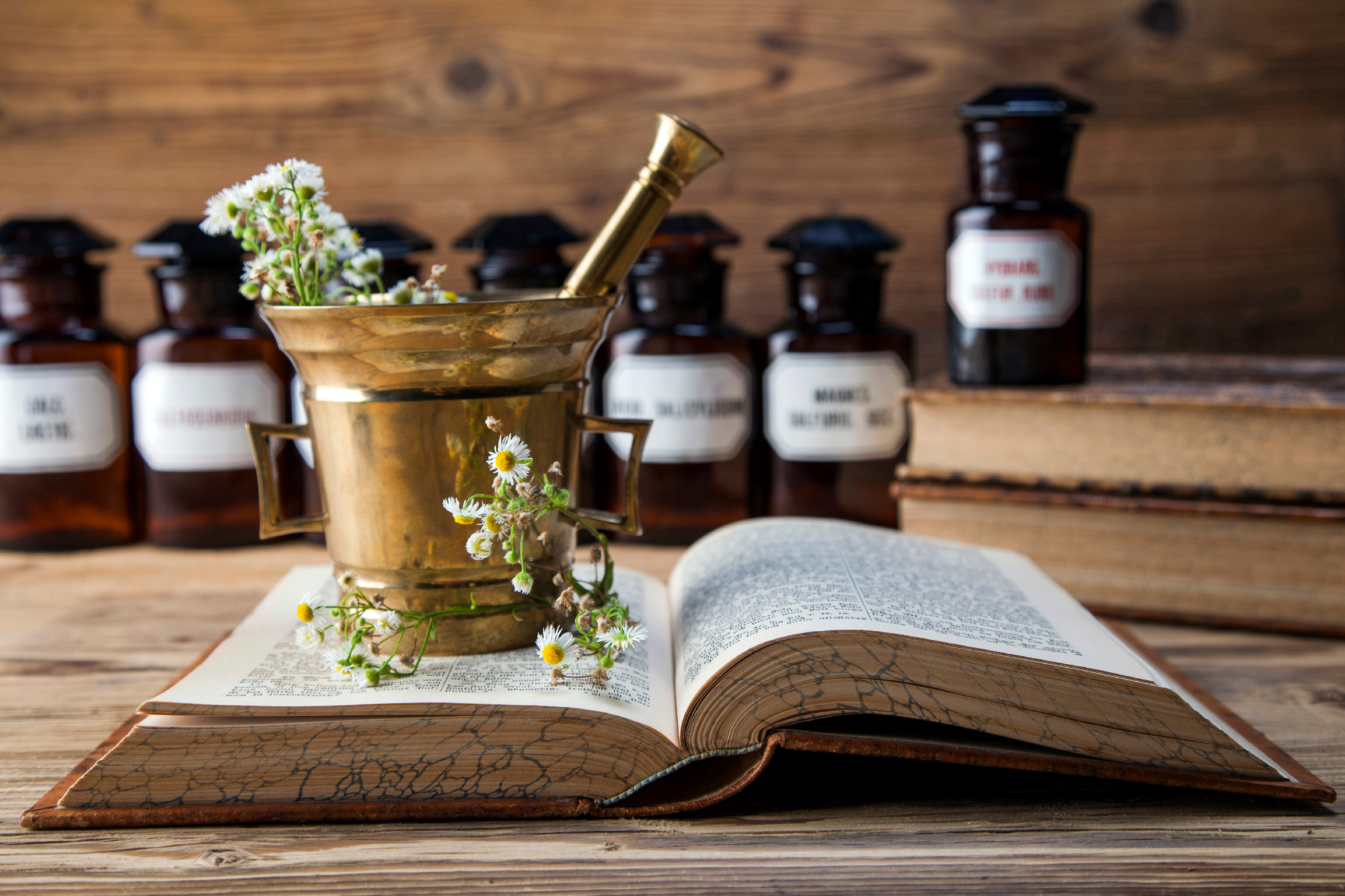 The ancient natural medicine, herbs and medicines