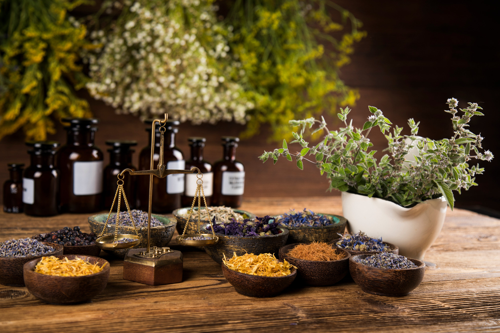 Homeopathy, herbal medicine on wooden table 