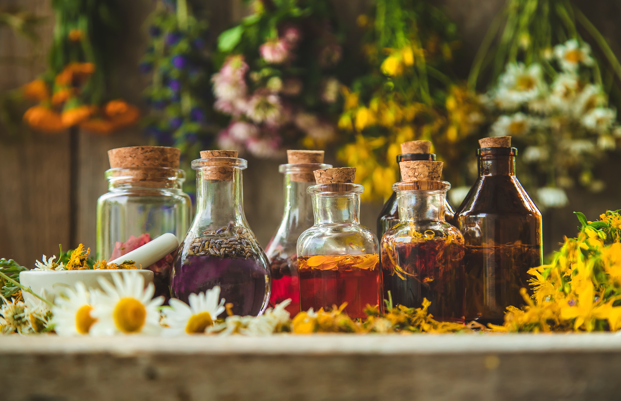 Tincture of medicinal herbs in bottles. Selective focus.
