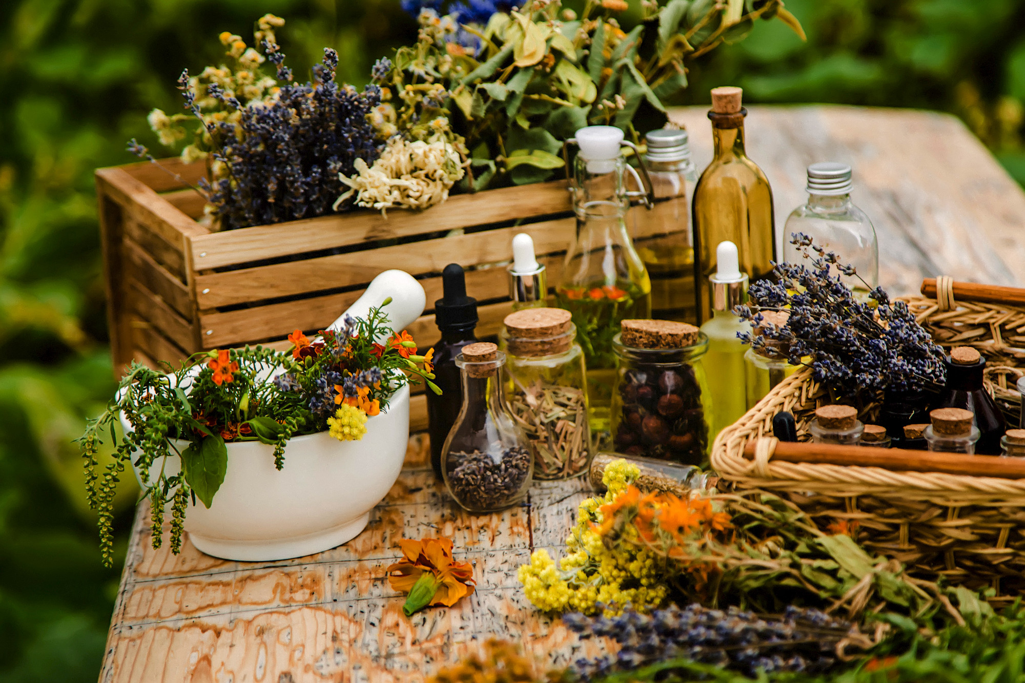 Medicinal herbs and natural tinctures. Selective focus.
