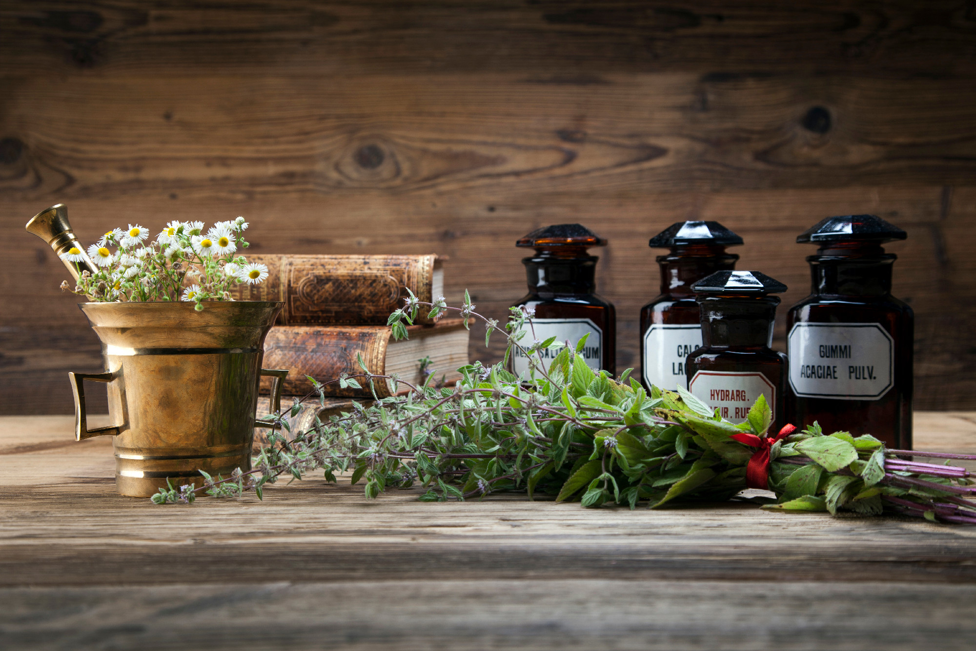 The ancient natural medicine, herbs and medicines