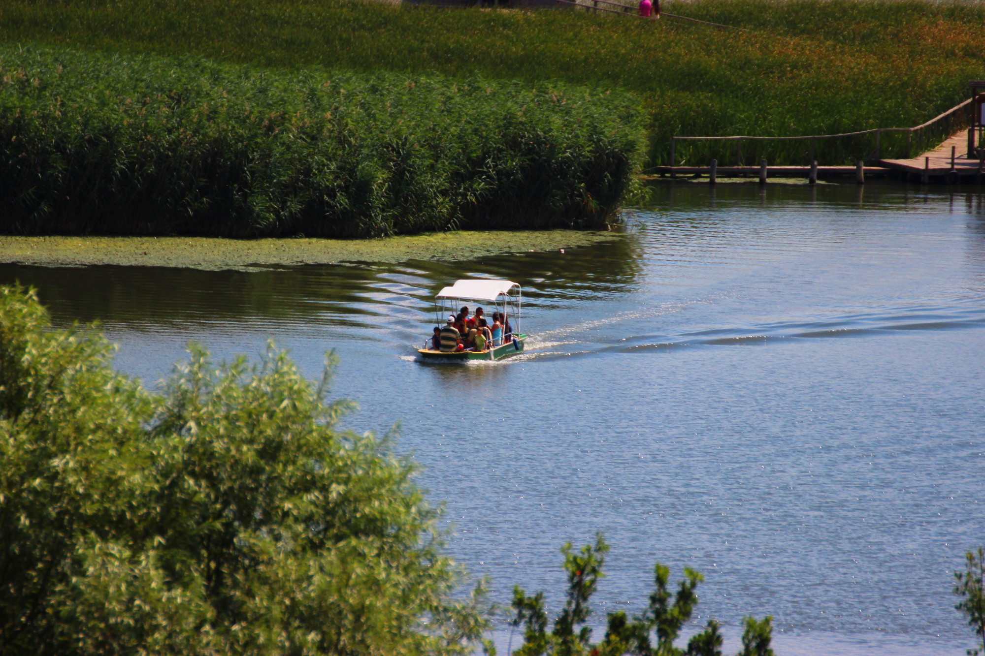 Landscape from Lake Tisza