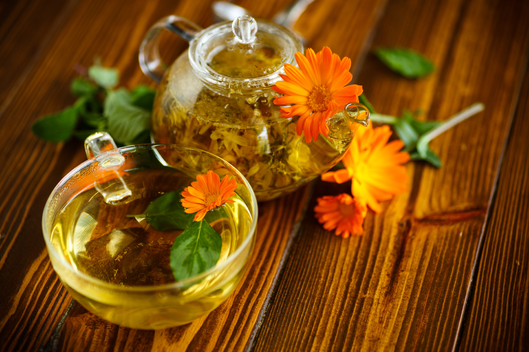 Therapeutic tea from flowers of calendula