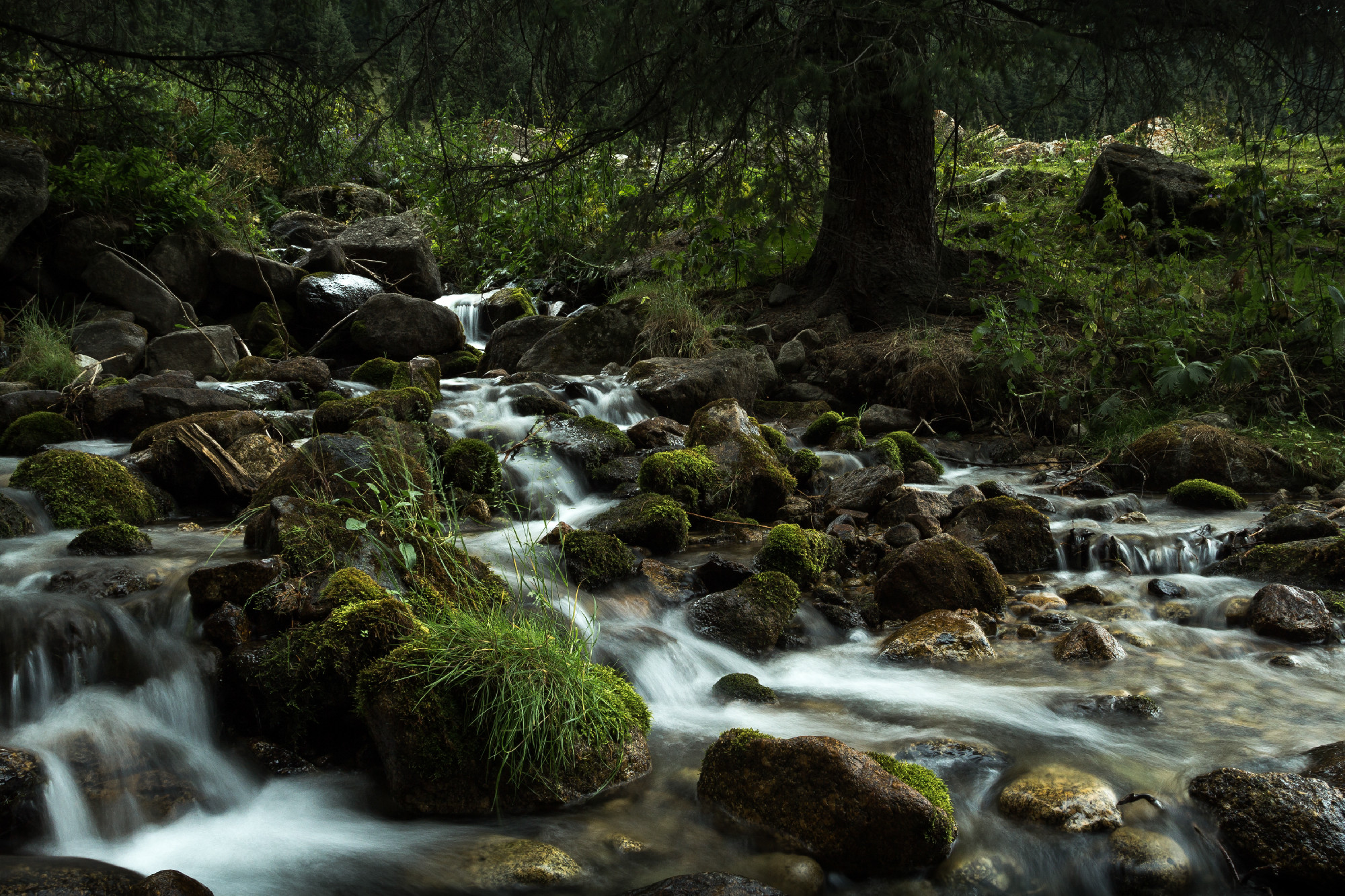river in the mountains, tian shan Kyrgyzstan