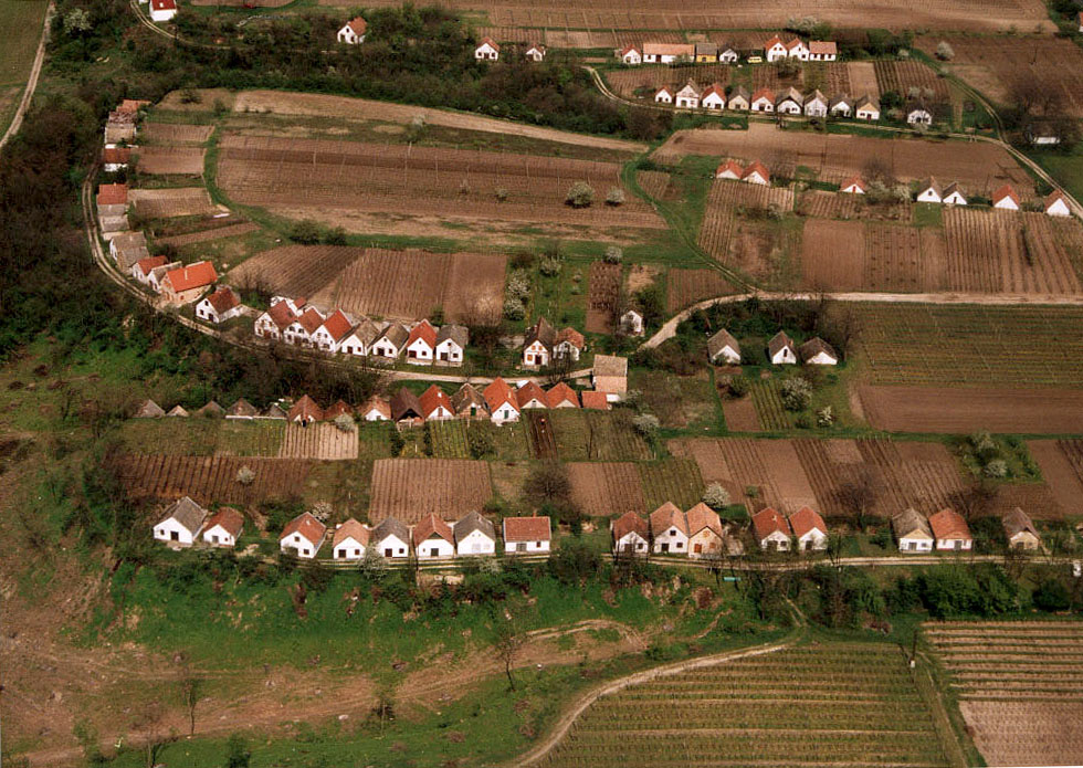 1300 pince, amelyben száz éve még a legfűszeresebb magyar bor termett
