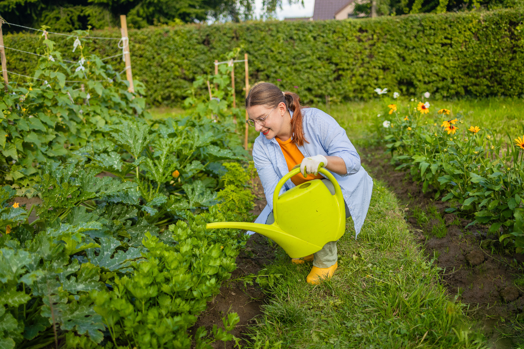 Happy woman taking care of flowers outdoors in garden, watering with can. Female preparing for preparing flowers for international women day. High quality photo