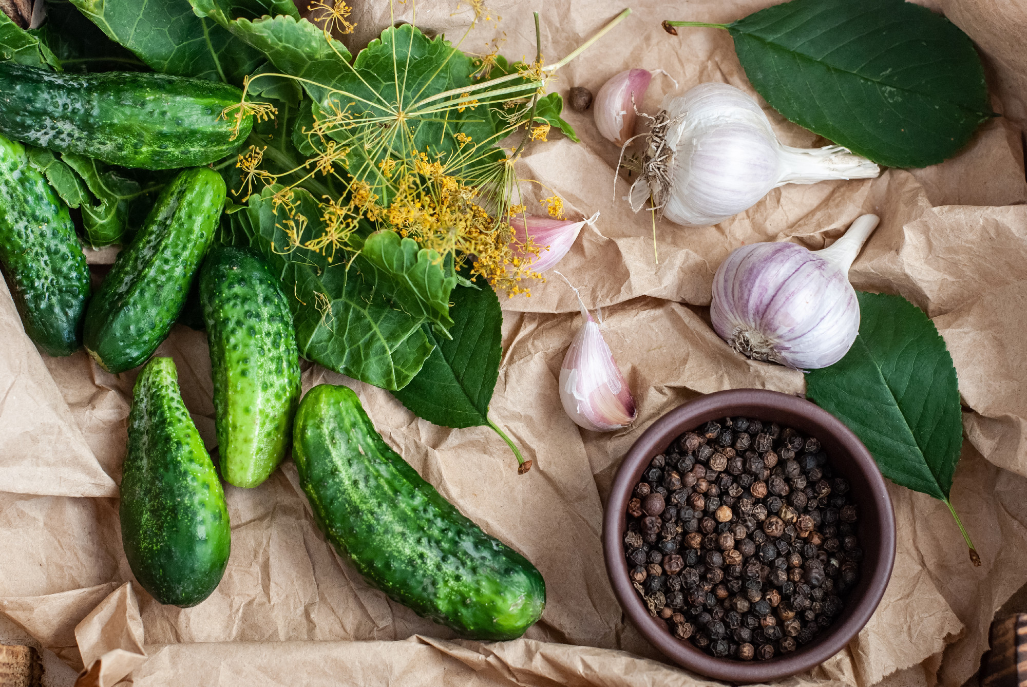 Raw cucumbers, dill flowers, cherry leaf, horseradish leaf, spices and herbs on a tray on a wooden background.