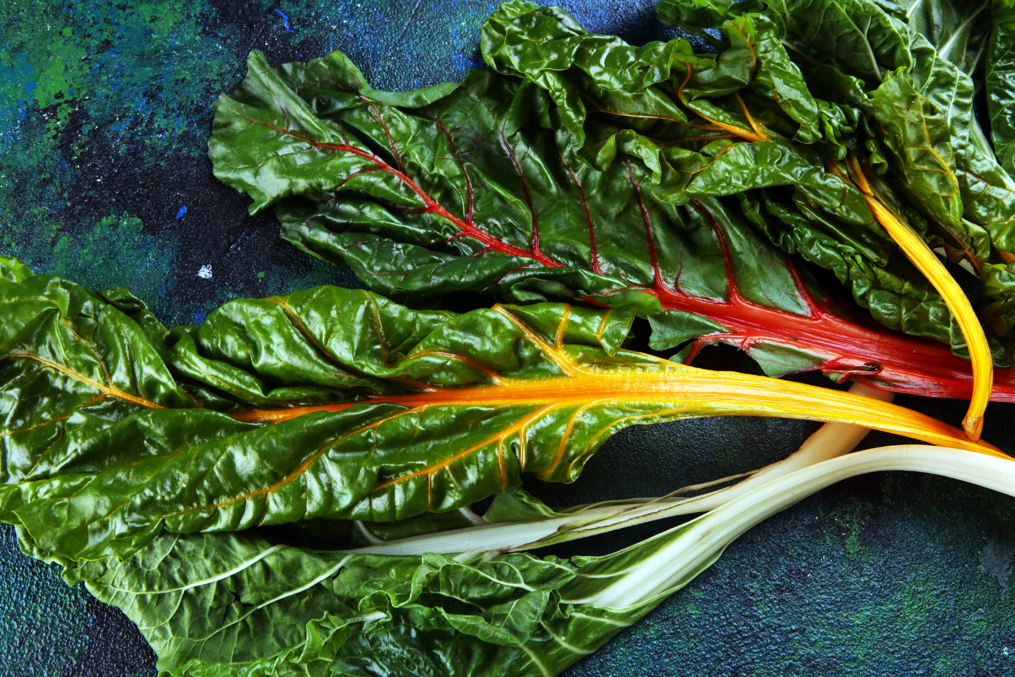 organic swiss chard in yellow, pink red and green. rainbow chard