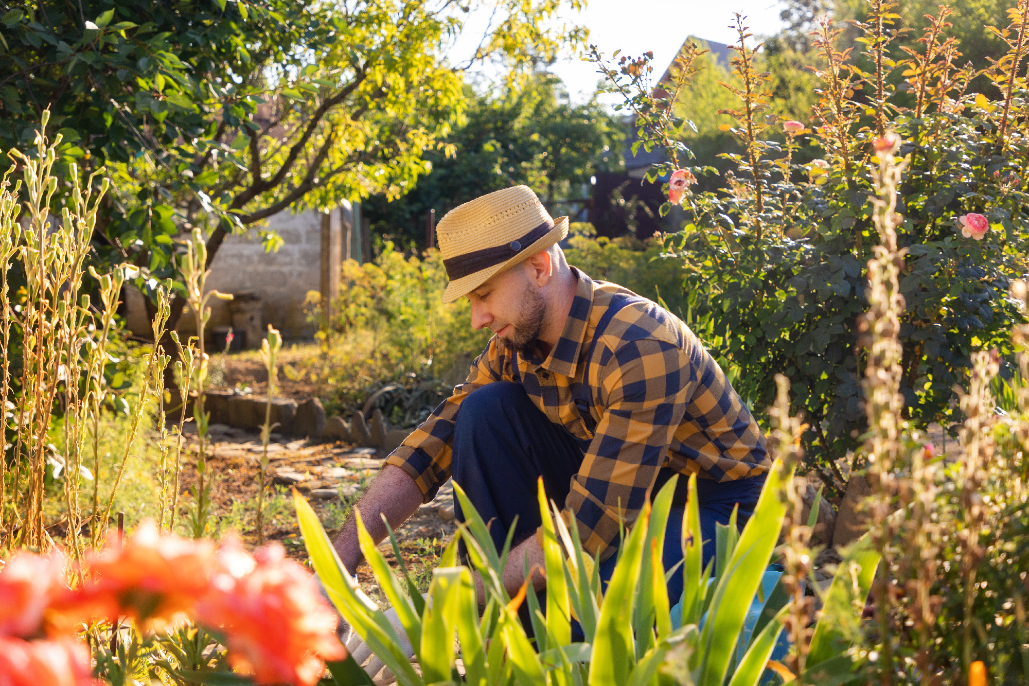 A smiling man in a straw hat and a plaid shirt is working in a blooming garden. The concept of the spring-summer gardening season