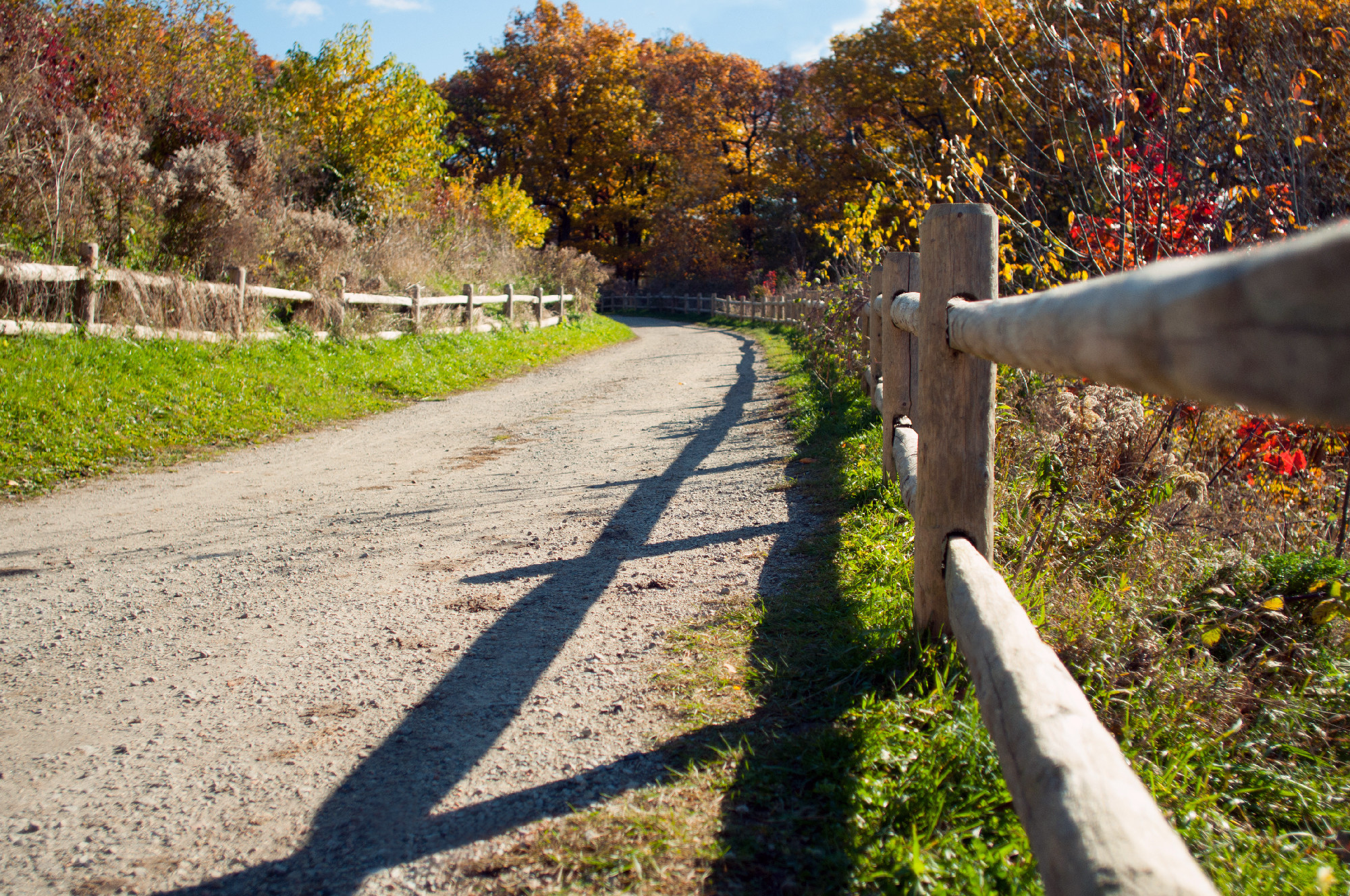 Autumn road with heaps of fallen leaves