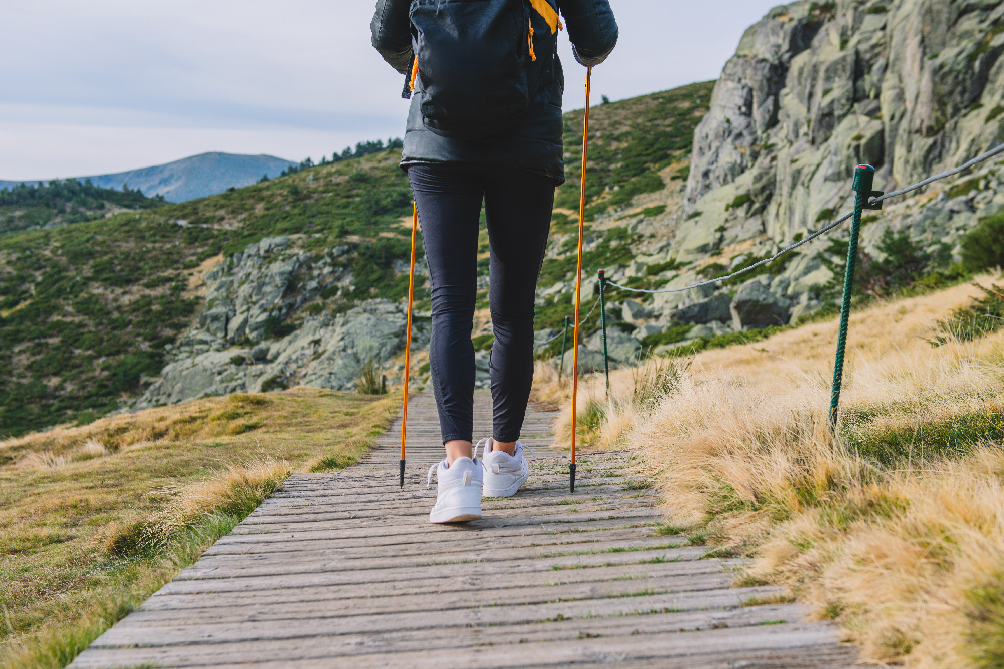 trekking mountain poles