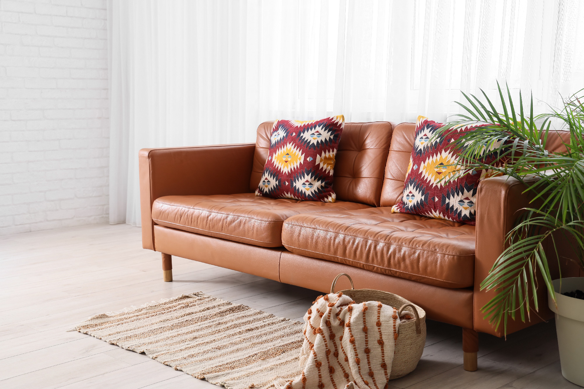 Interior of living room with brown sofa, palm tree and window�