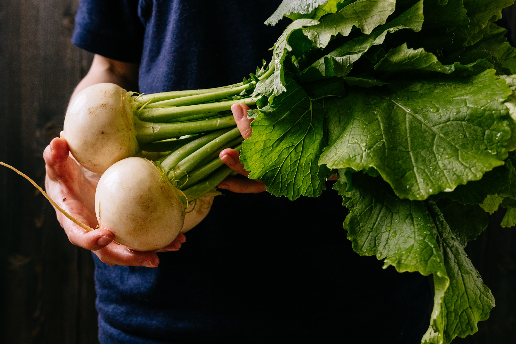 Organic fresh harvested vegetables. Farmer's hands holding fresh turnip, closeup