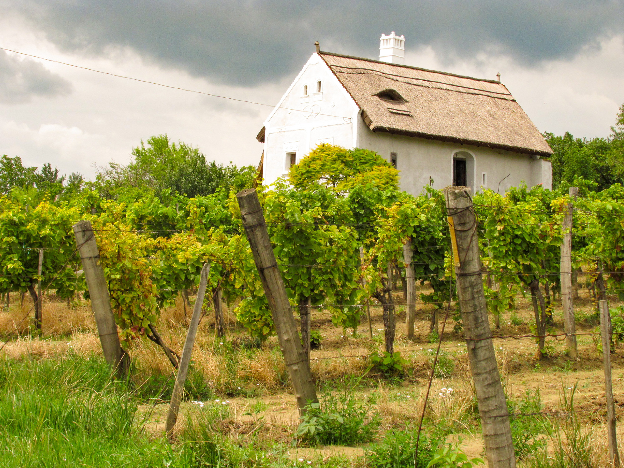 Régi időkről mesél, jó éveket ígér a Balaton-felvidéki táj