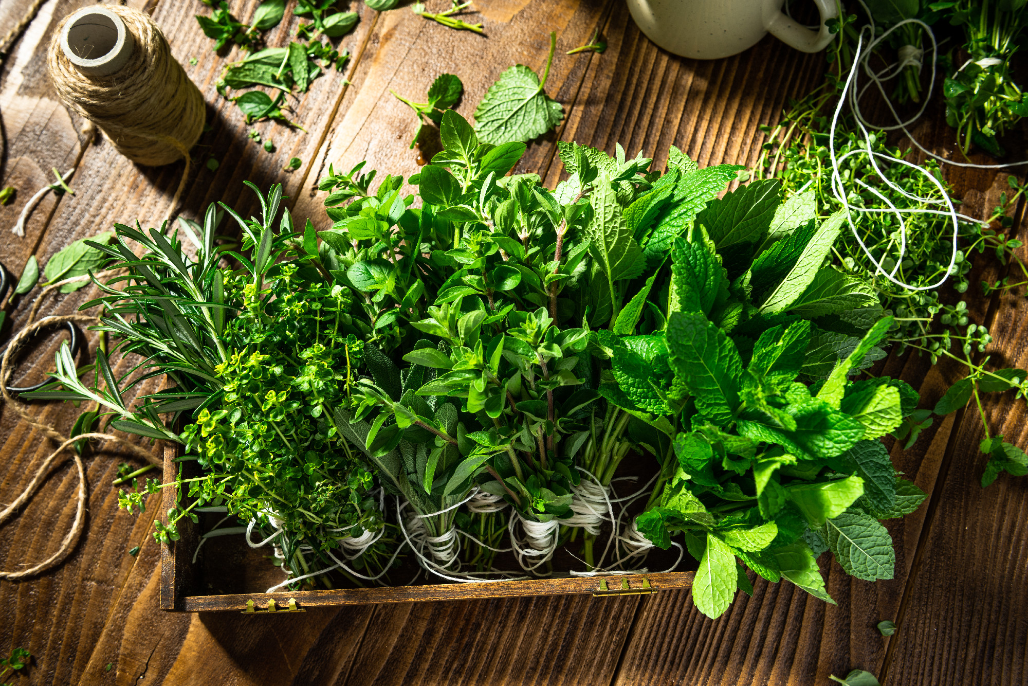Fresh Aromativ Herbs. Culinary Seasoning Healthy Eating.