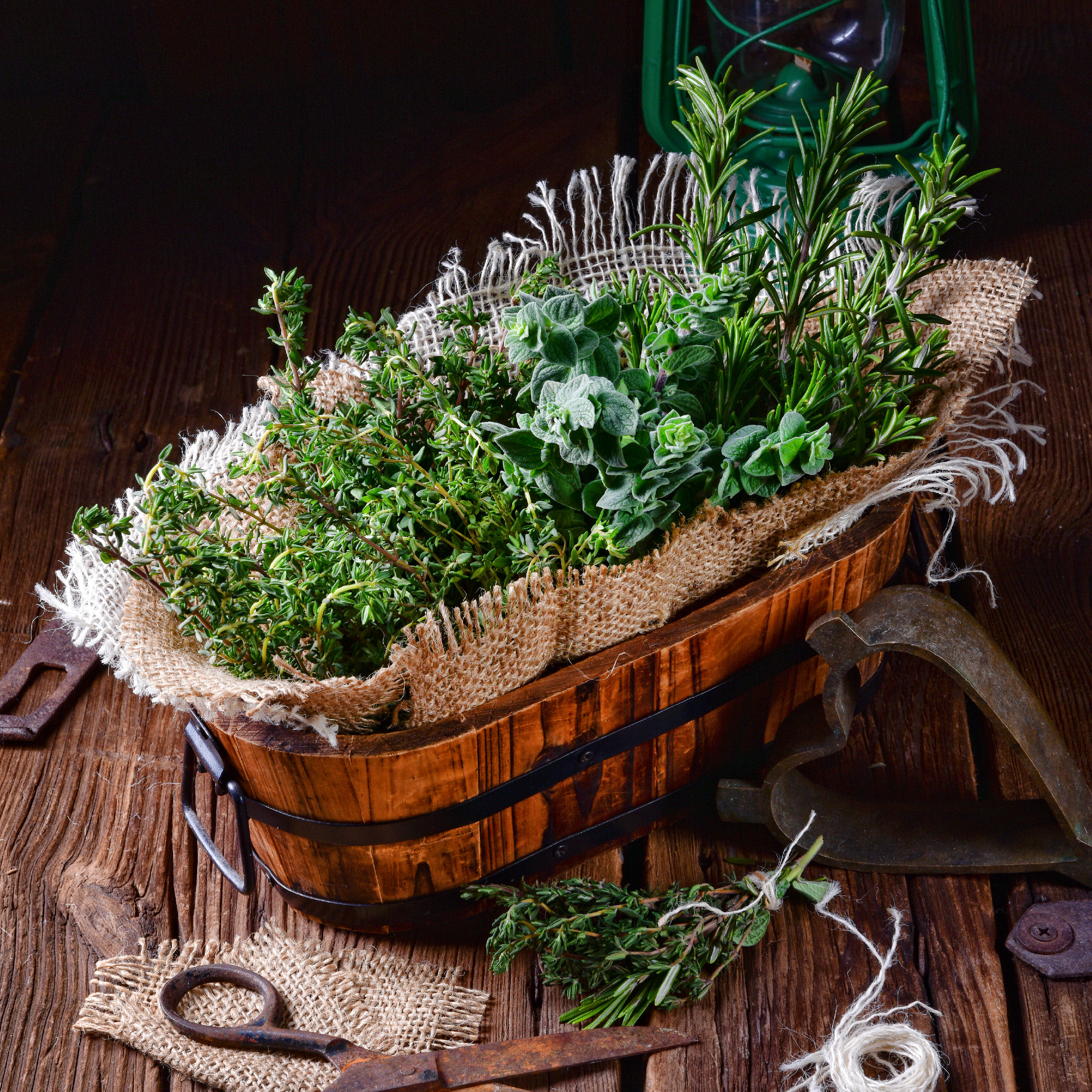 Herbal collection of: thyme,oregano, rosemary