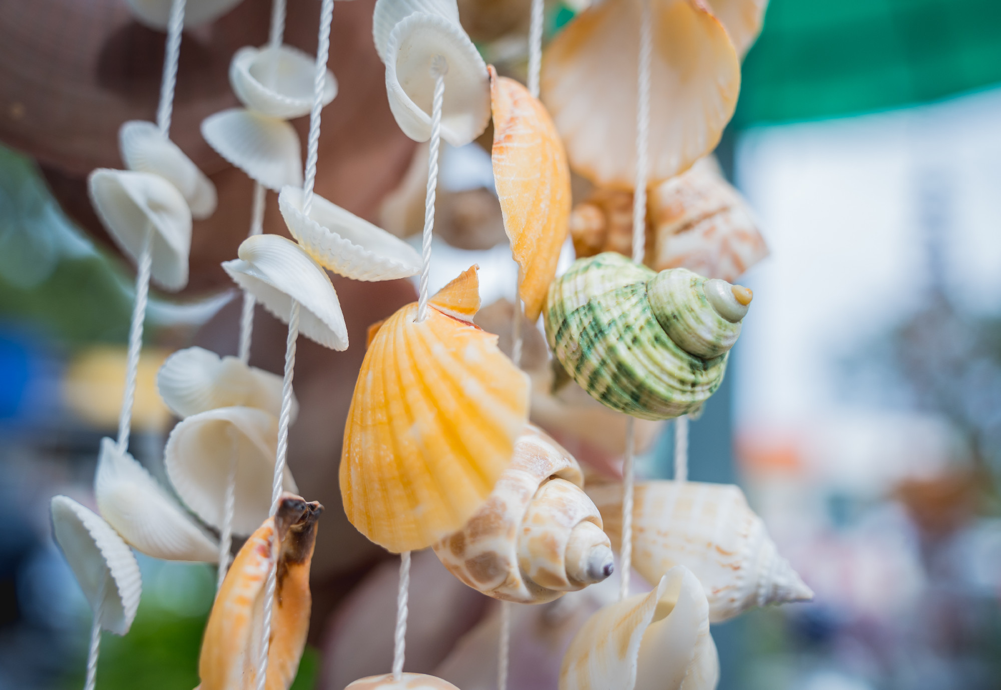Handmade souvenir decorated with different sea shells