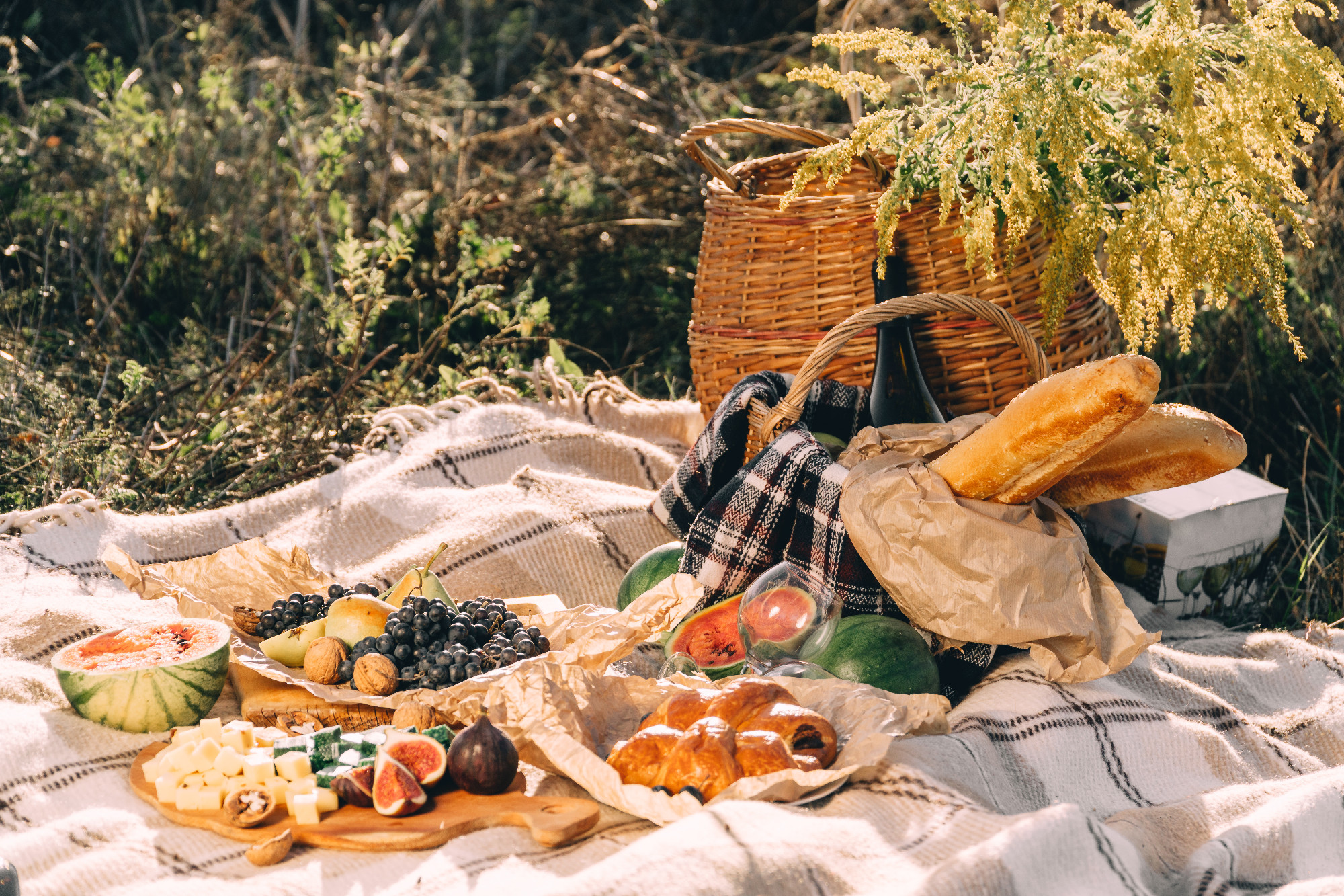 Summer Picnic at sunset on the plaid, food and drink conception lifestyle sunny weather