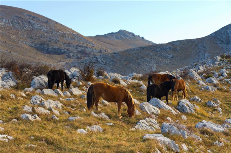 Winnetou nyomdokaiban – Horvátország egy indián szemével