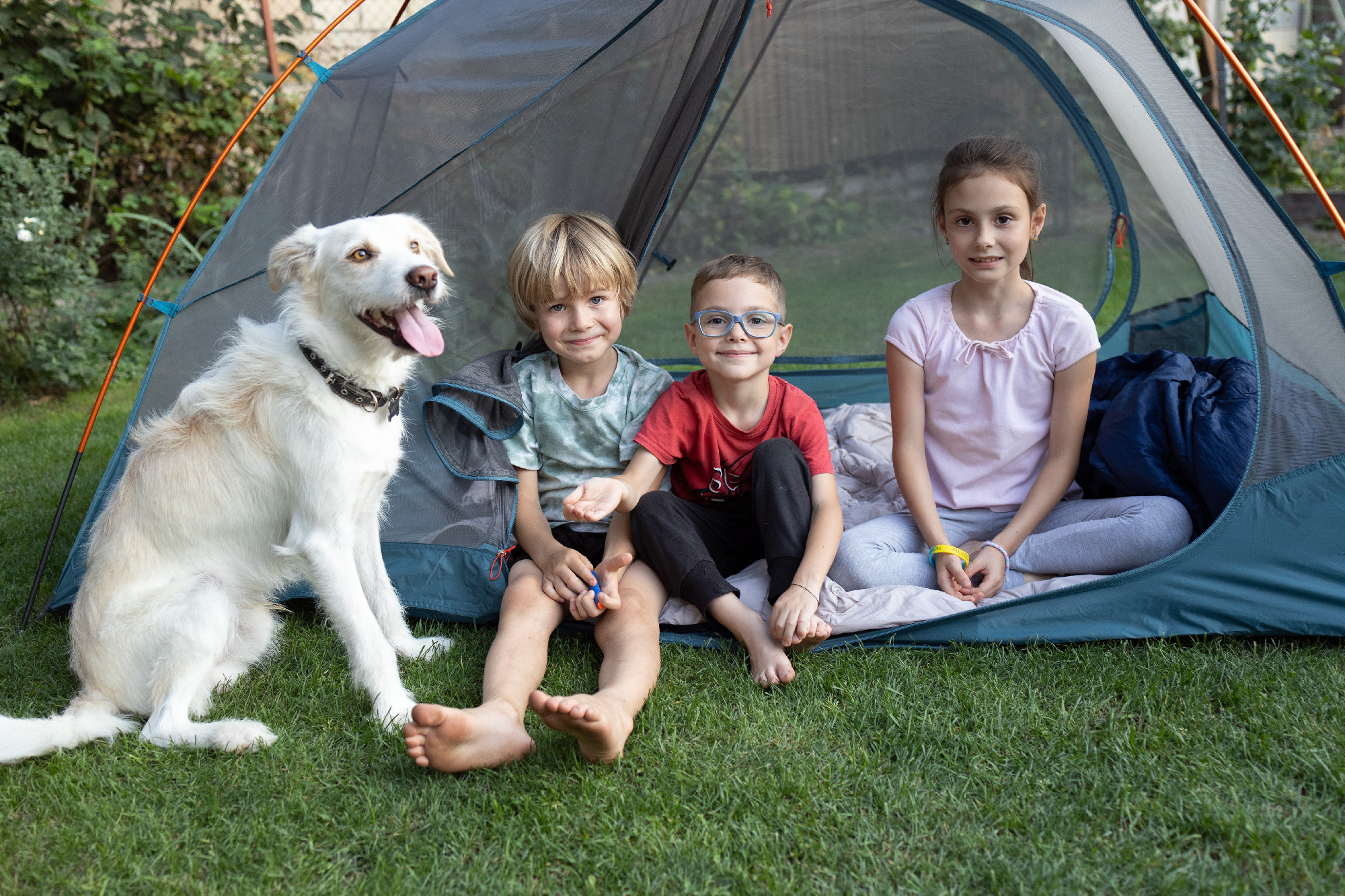 Three happy children and a dog are sitting in a tent on a warm sunny day