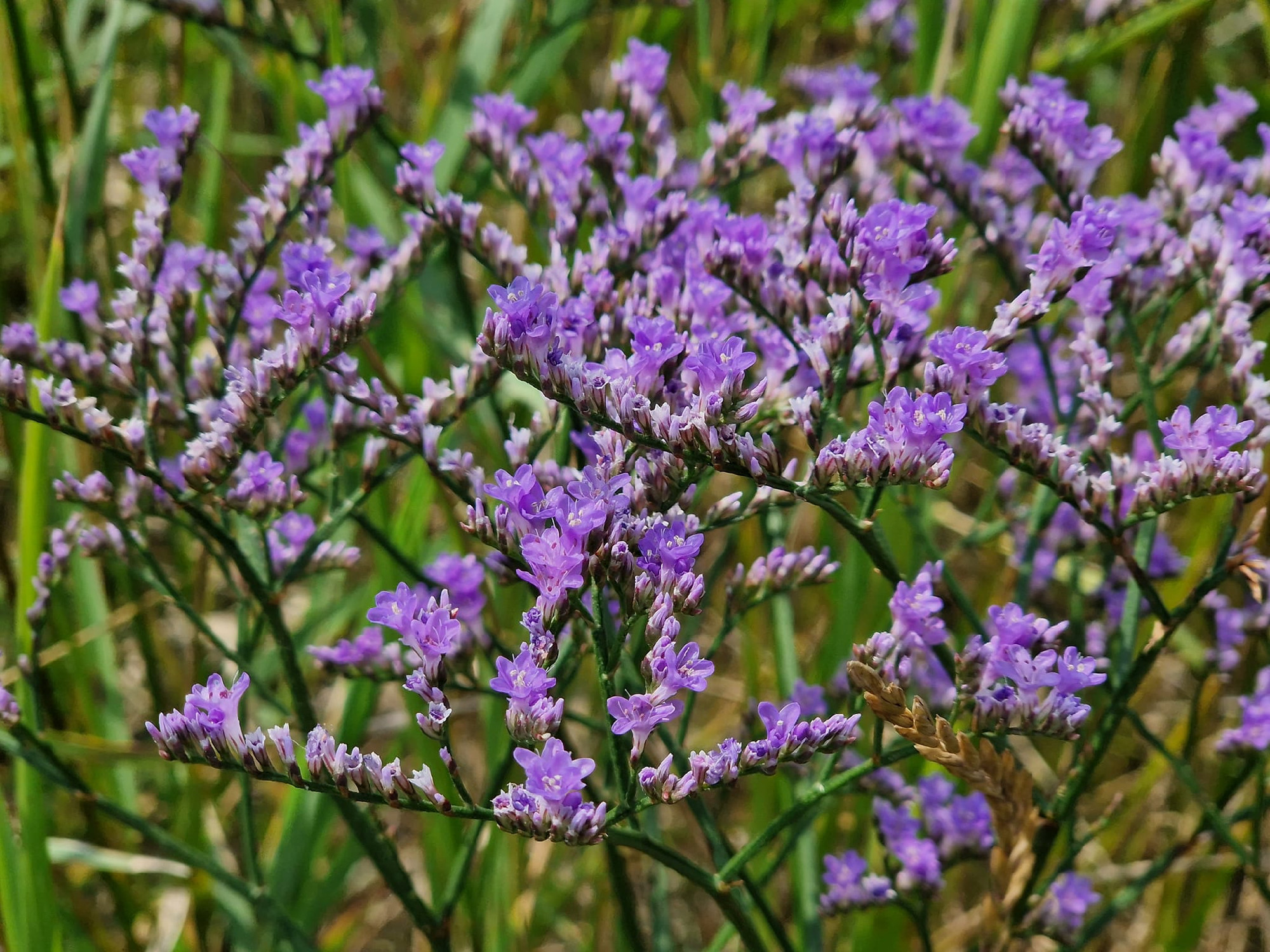 hortobagy-latnivalok