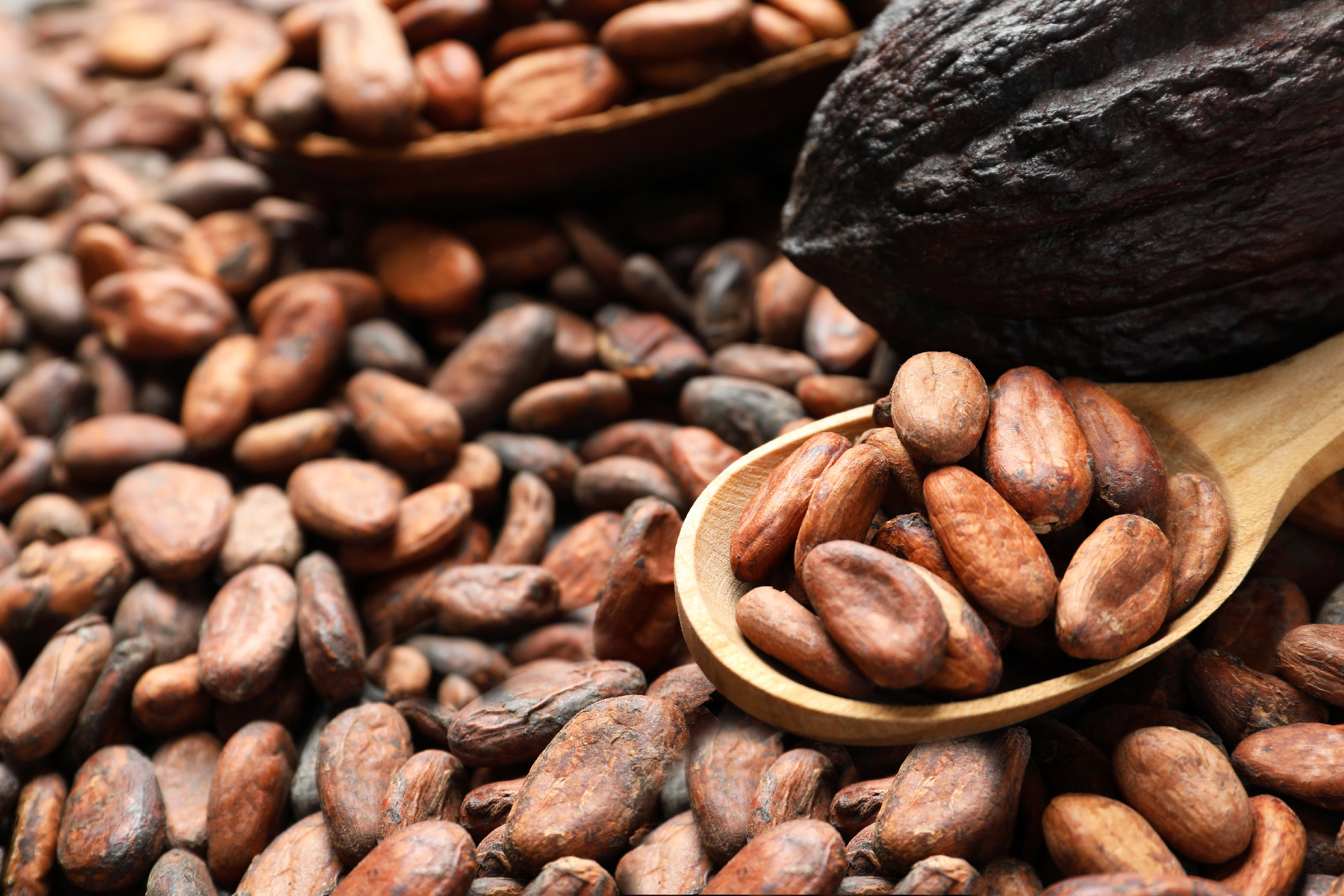 Wooden spoon and pods on cocoa beans, closeup�