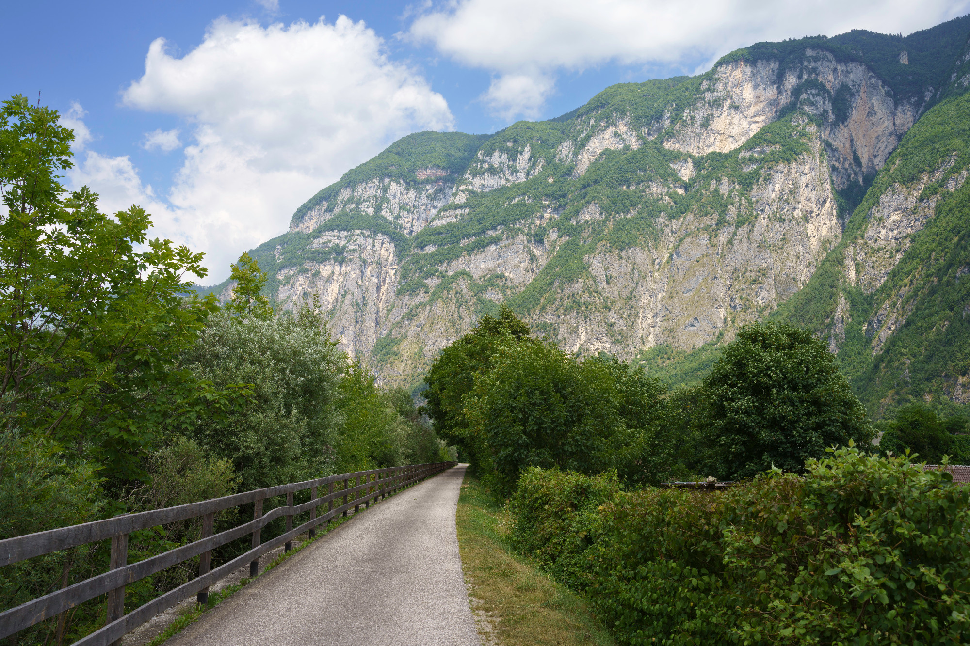 Summer landscape along the Valsugana cycleway