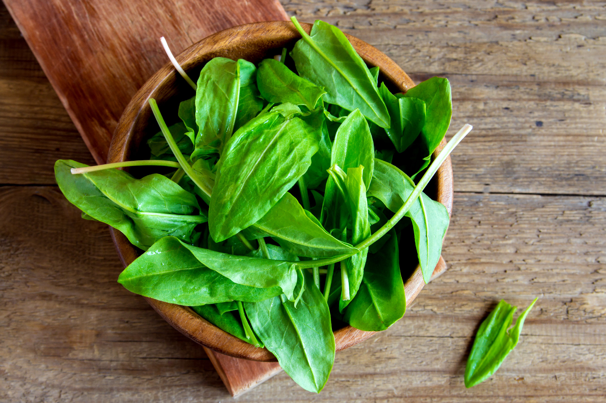 sorrel leaves