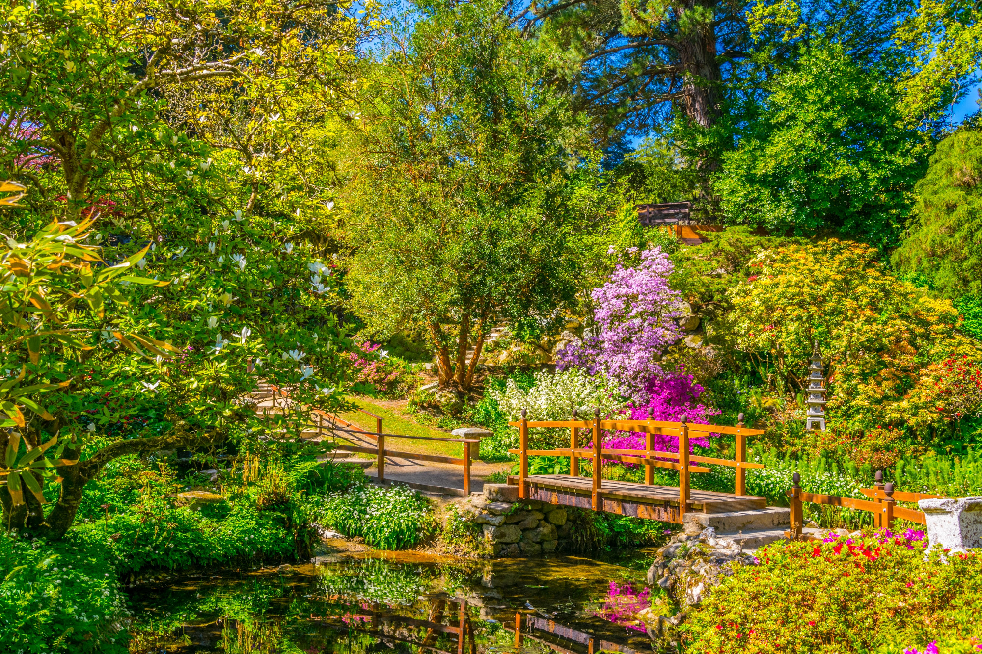 Japanese garden inside of the Powerscourt Estate in ireland
