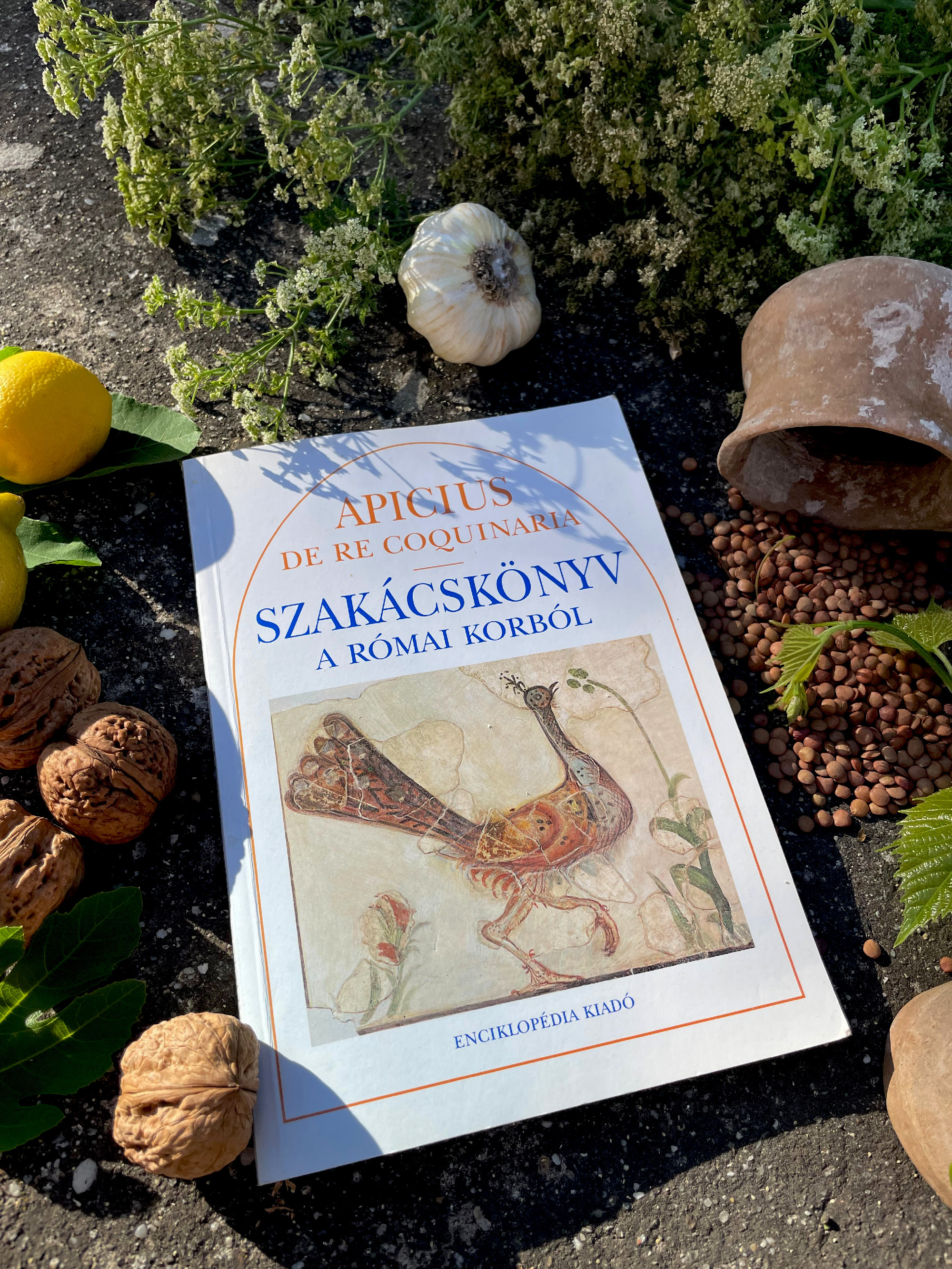 Mit tanulhatunk Apicius szakácskönyvéből?