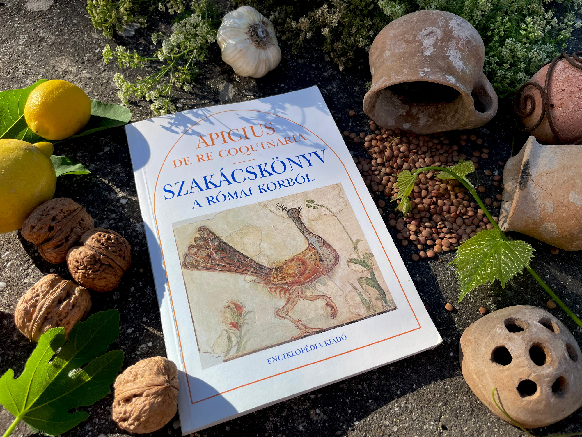 Mit tanulhatunk Apicius szakácskönyvéből?