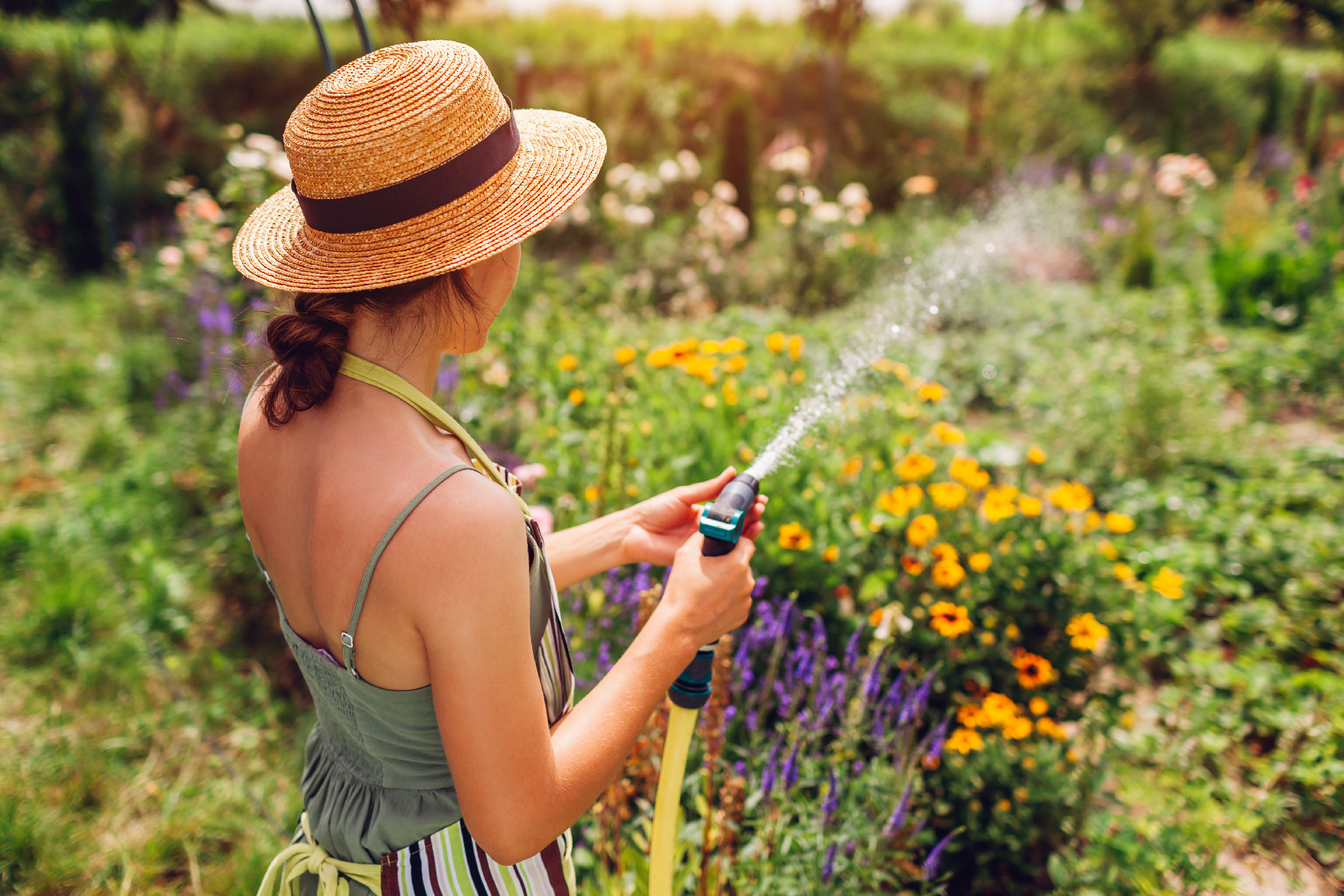 Back view of woman gardener in straw hat watering plants with hose pipe in summer garden. Taking care of flowers