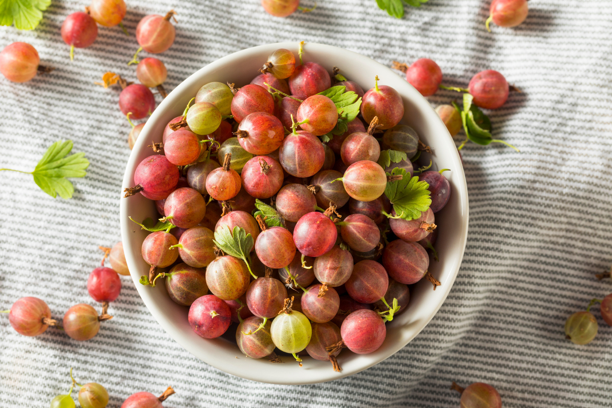Raw Purple Organic Gooseberries