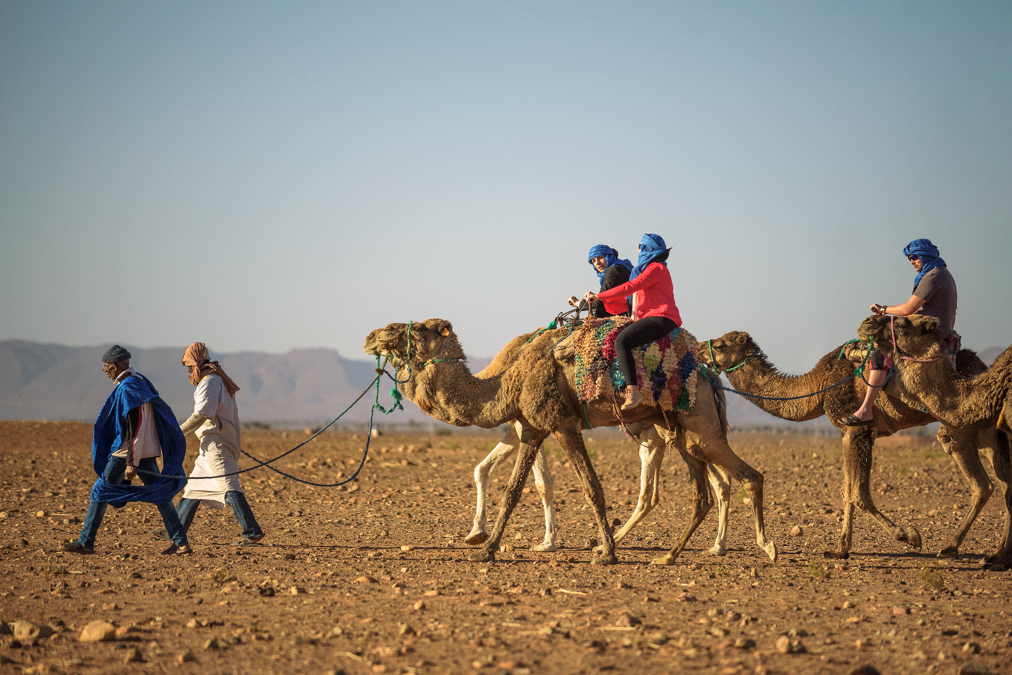 Camel caravan with tourists going through the Sahara Desert