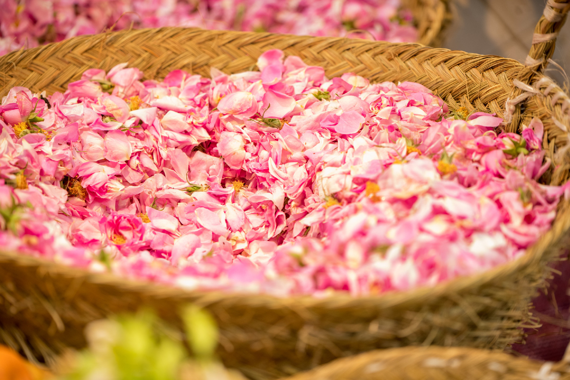 Rose petals in a basket at a souk market in Marrakesh Morocco.